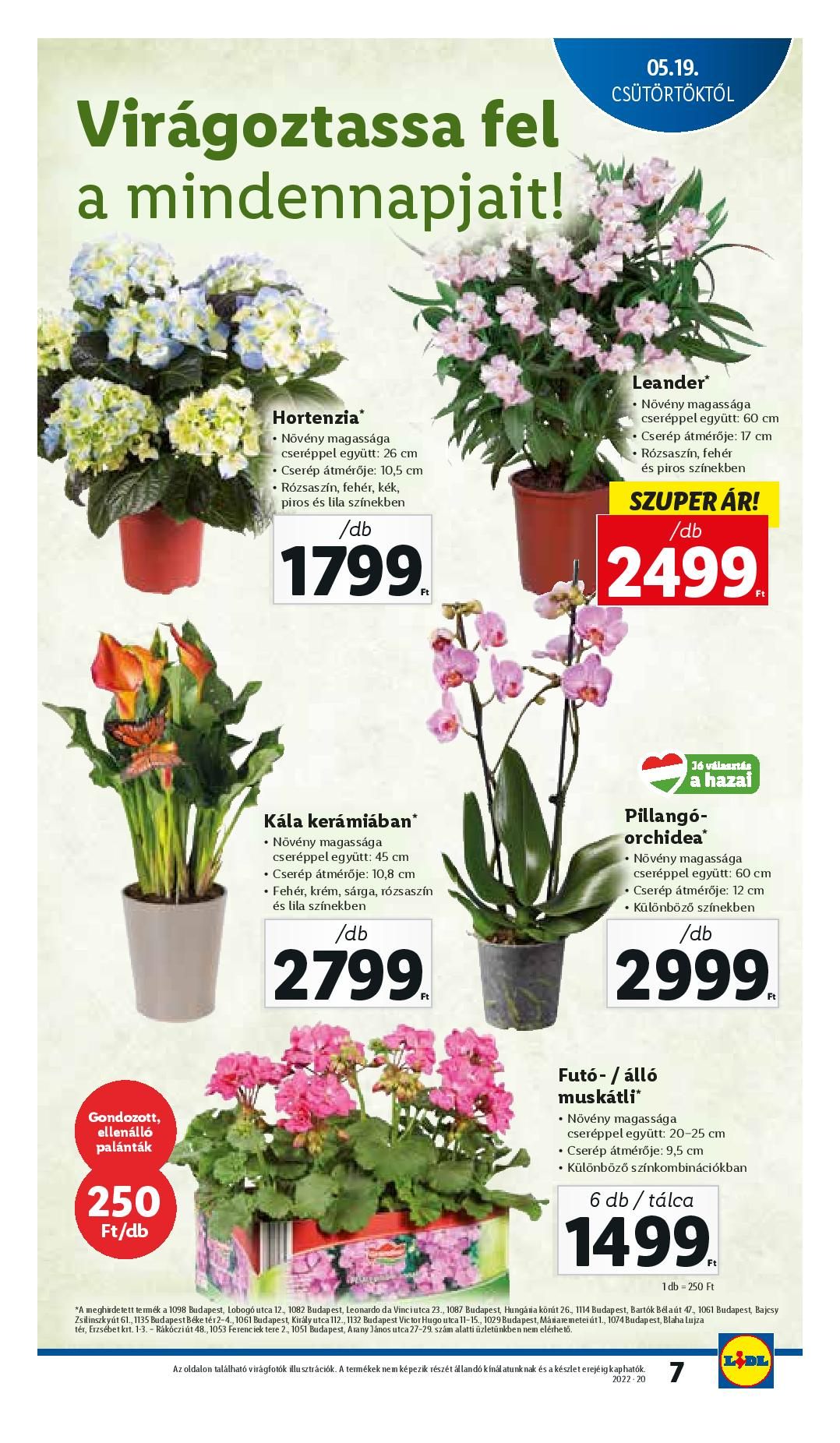 lidl0519-page-007