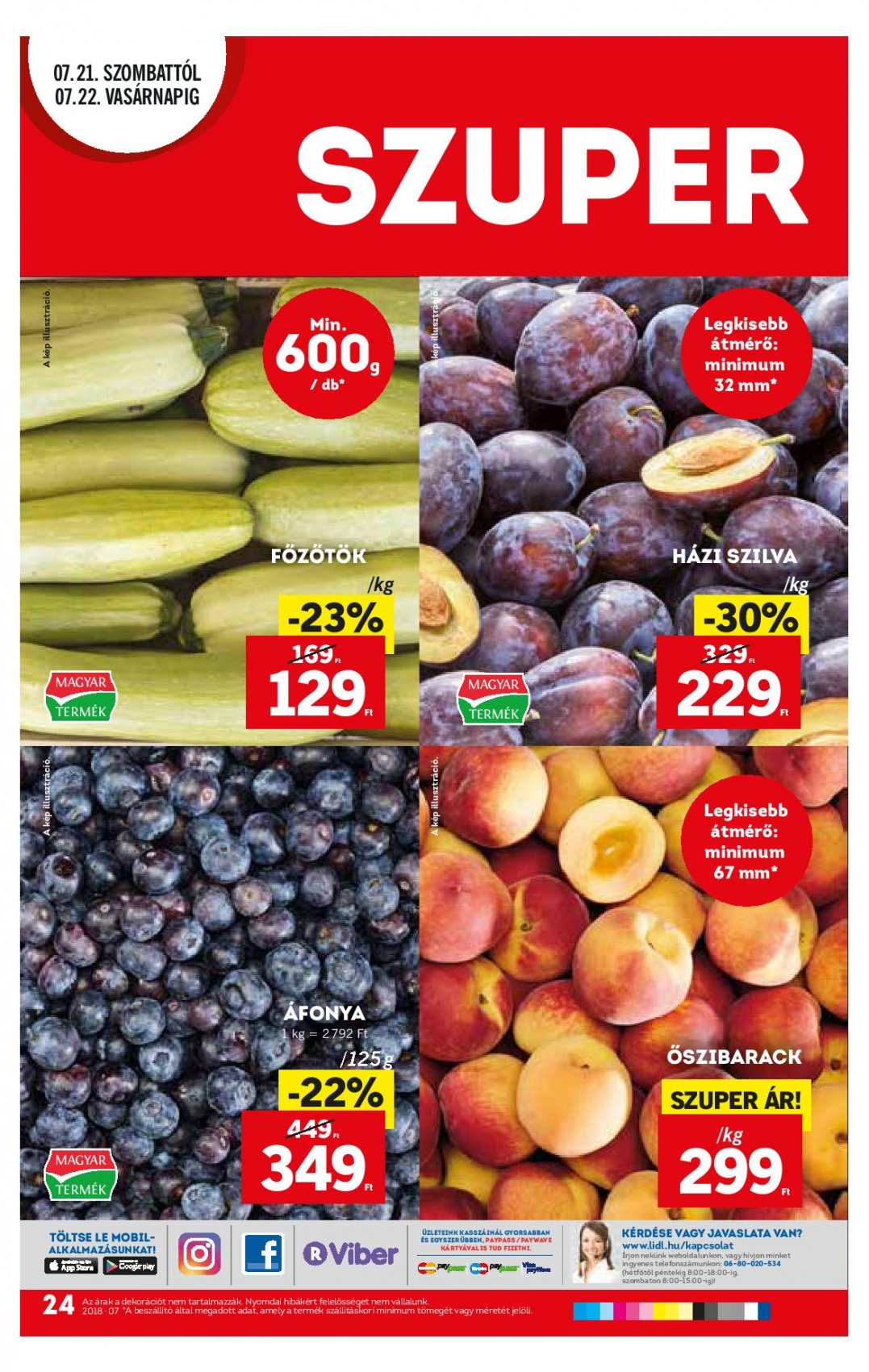 Document-page-024