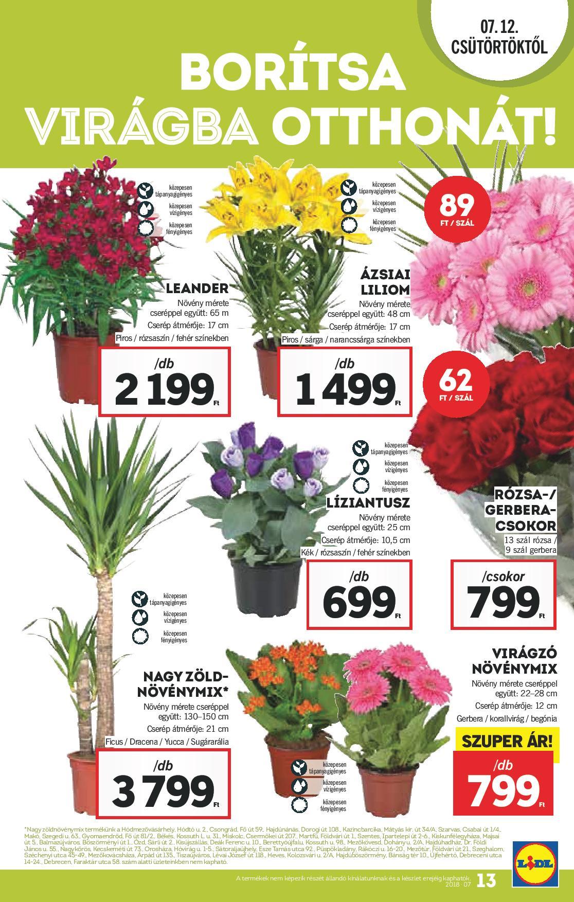 Lidl_Akciosujsag_2018_27het_72dpi-page-013