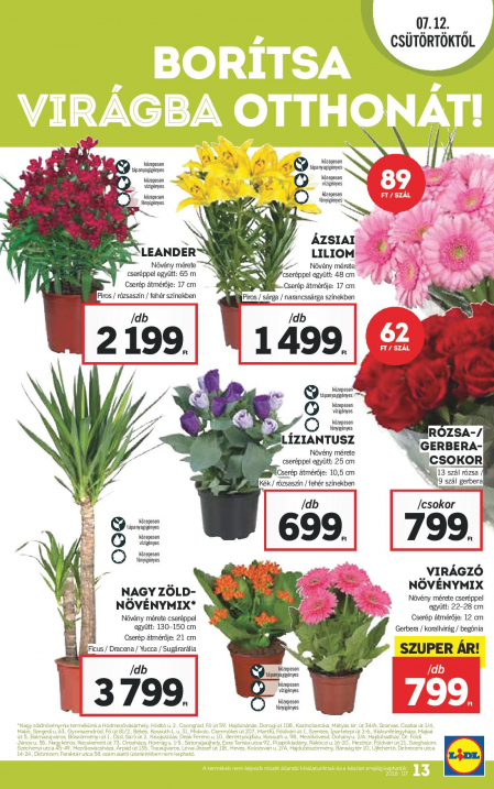 Lidl_Akciosujsag_2018_27het_72dpi-page-013