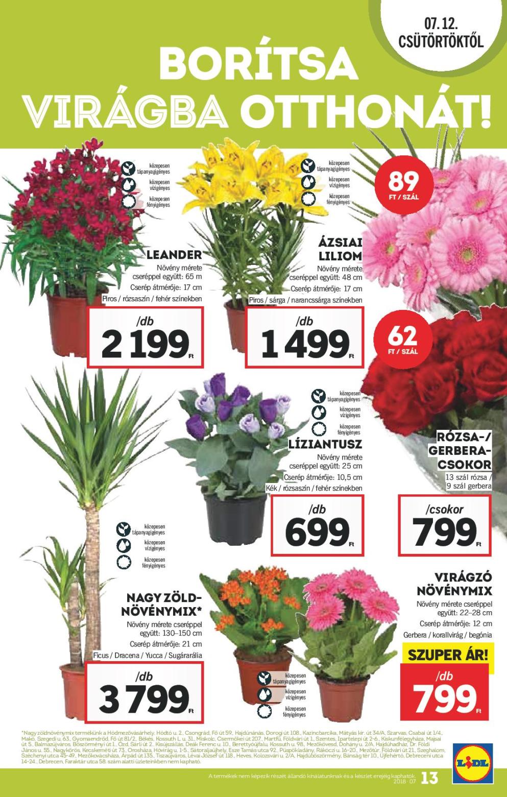 Lidl_Akciosujsag_2018_27het_72dpi-page-013