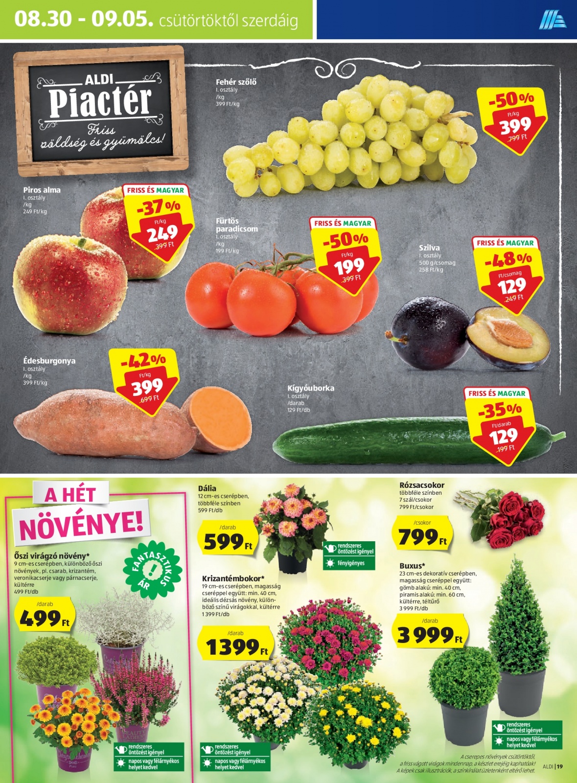 aldi08.30.-019