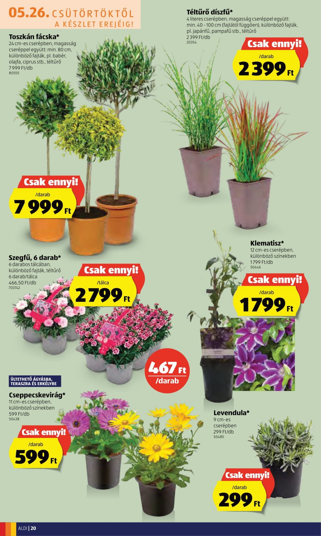 aldi05260601-20