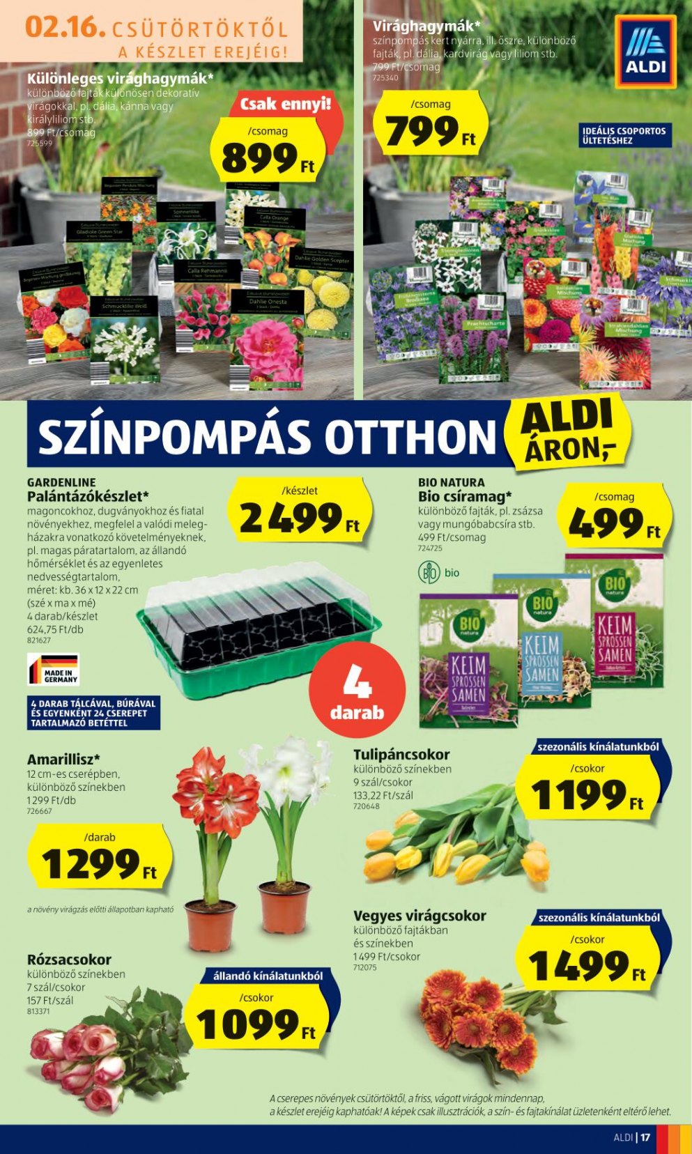 aldi1622-19