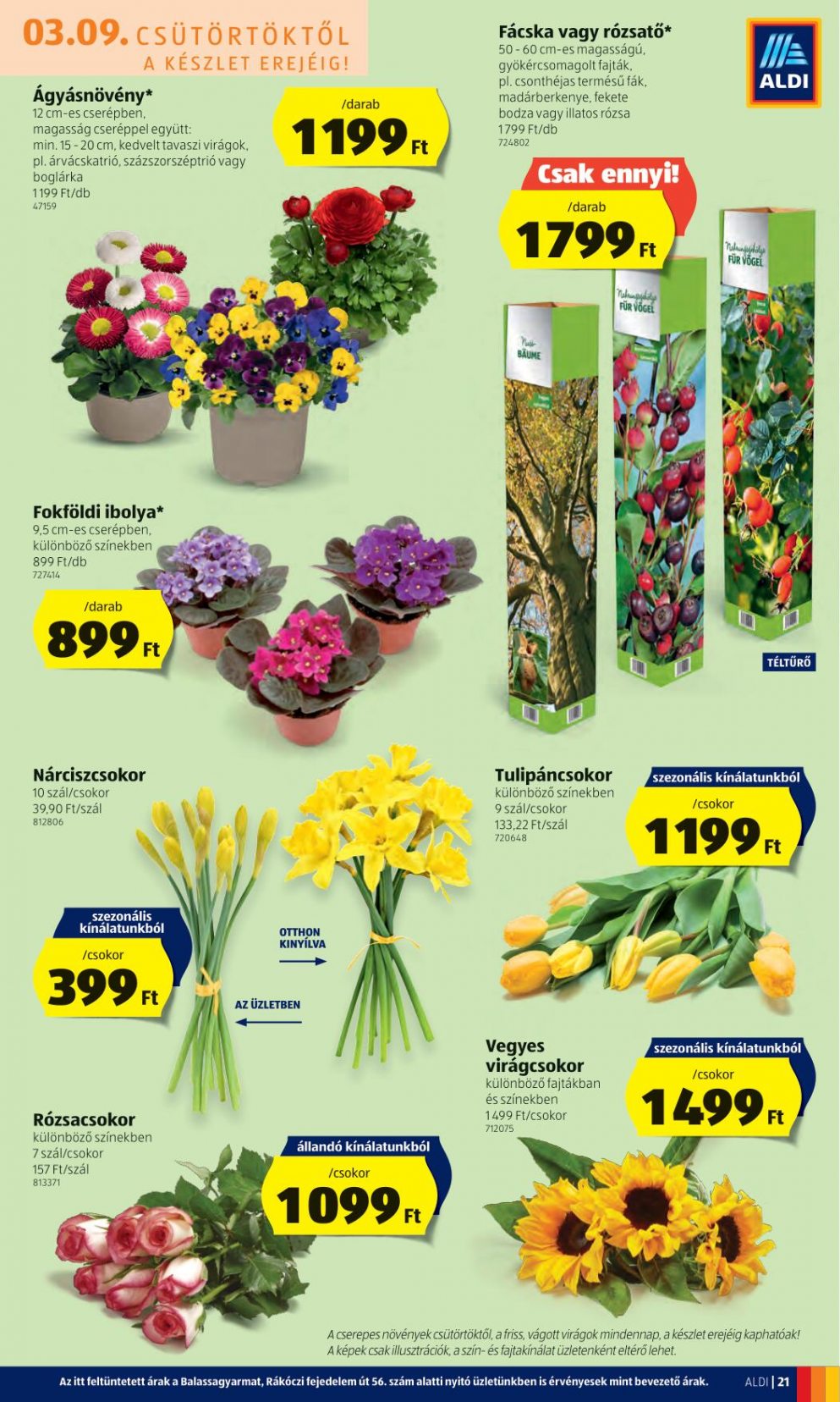 ALDI0309-23