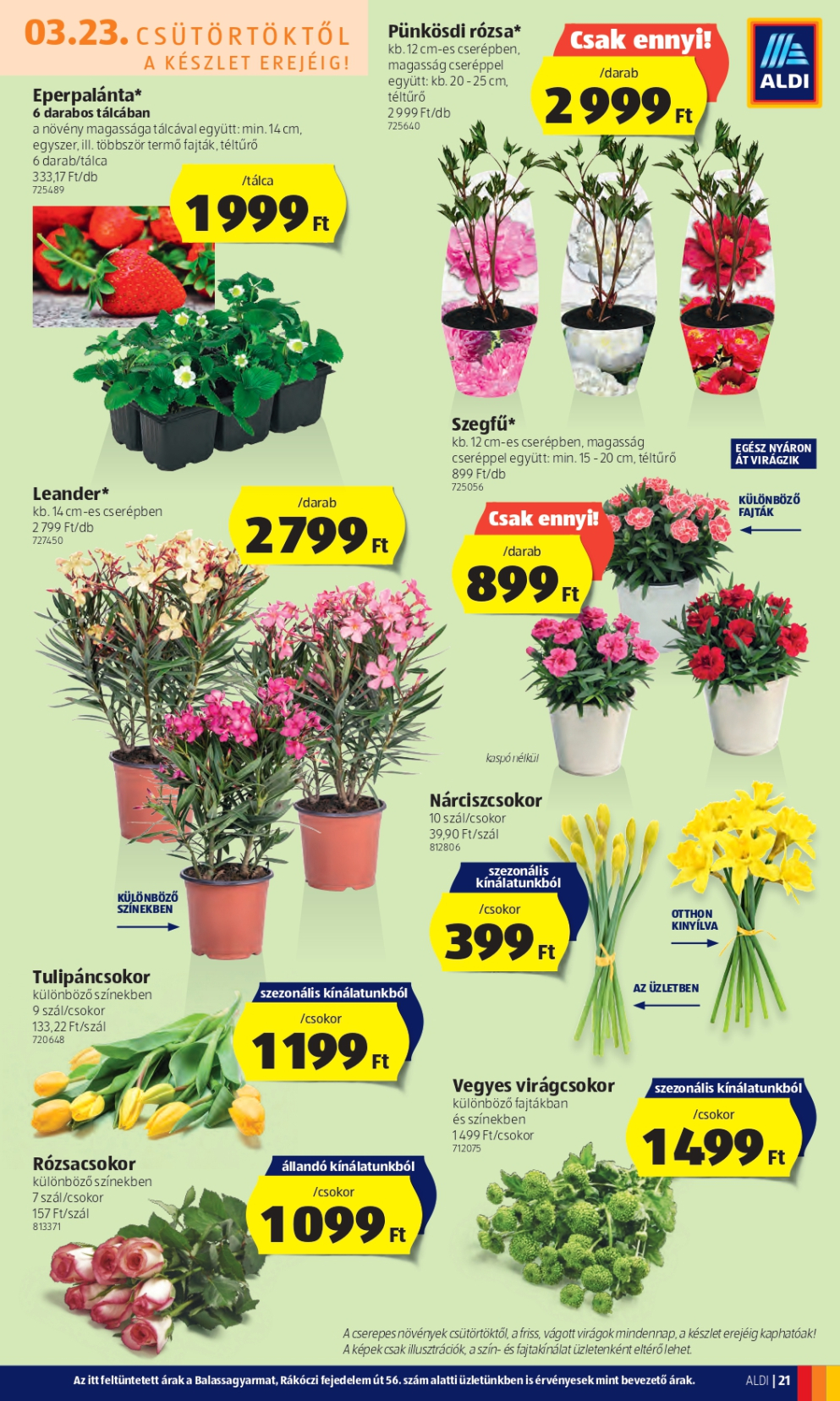 aldi032329_page-0023