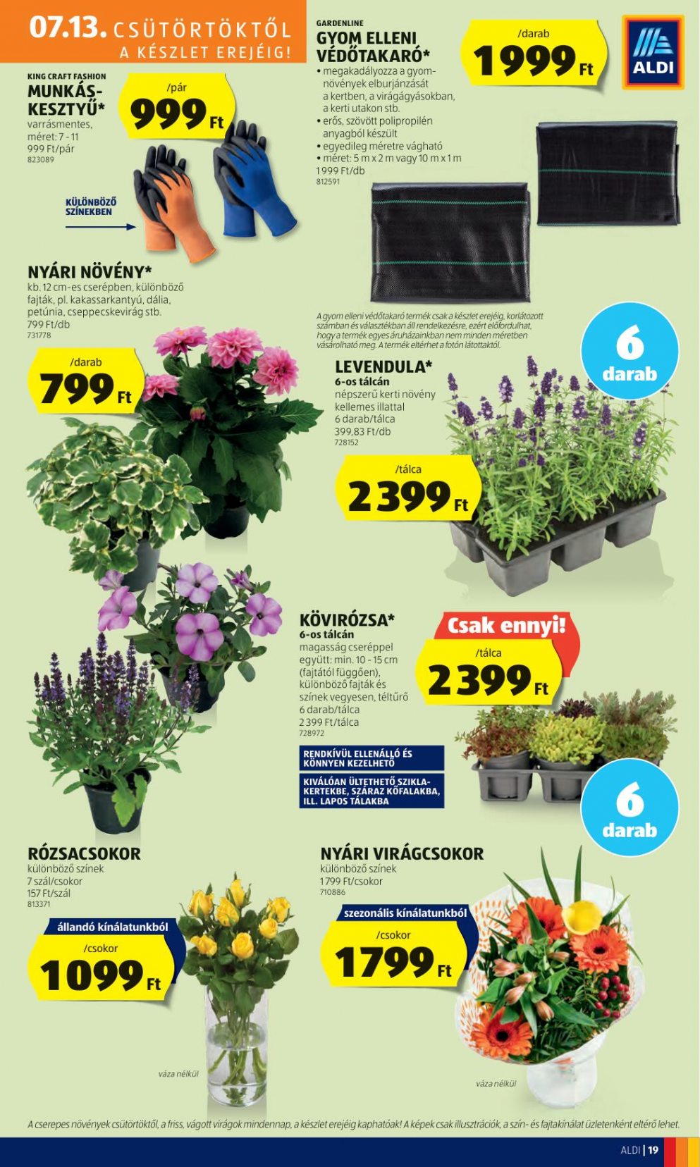 aldi1319-21