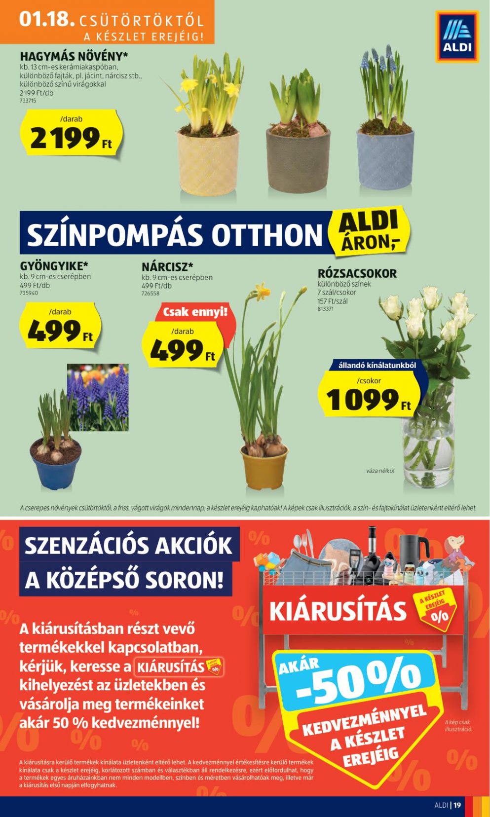 aldi011824-23