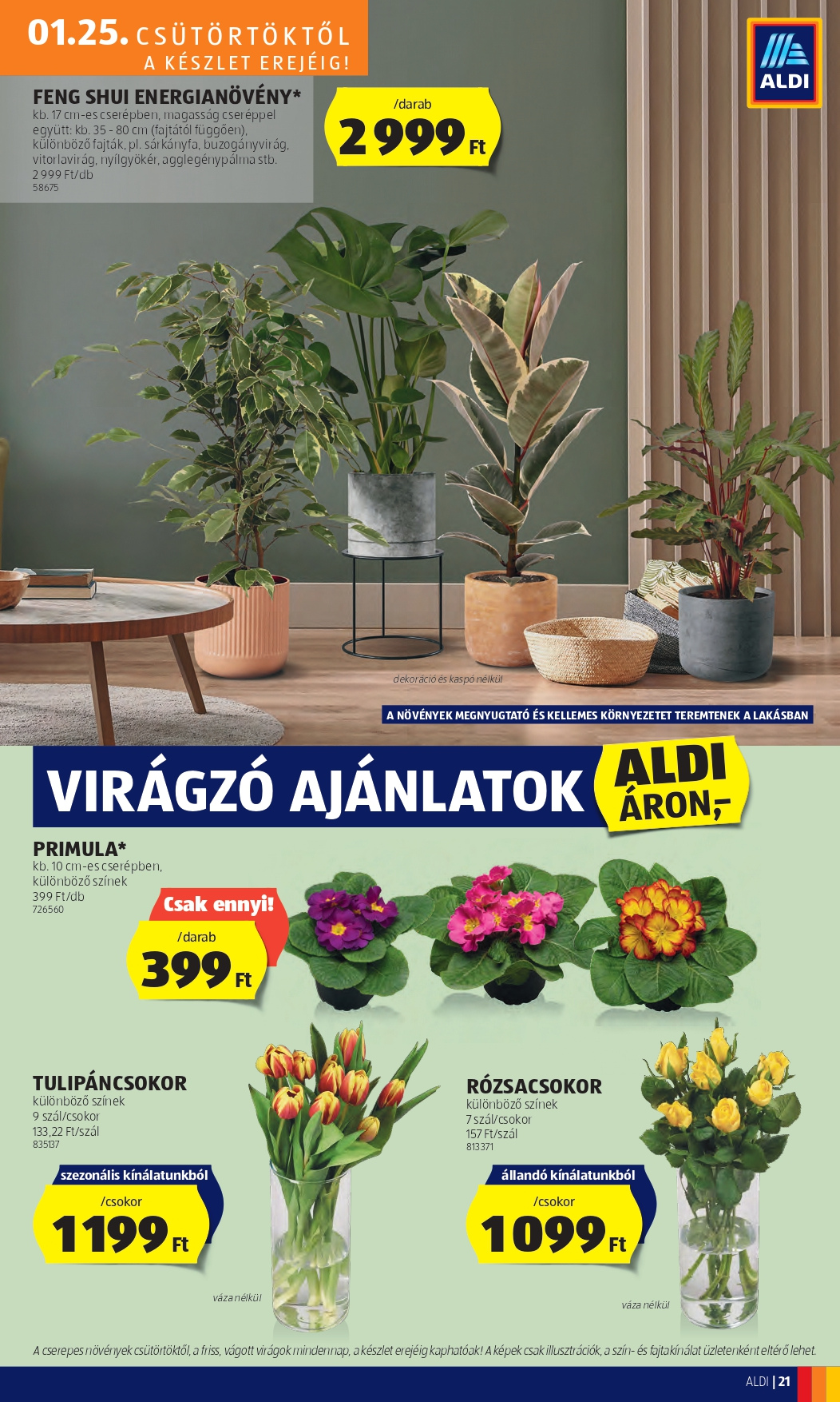aldi2531_page-0025