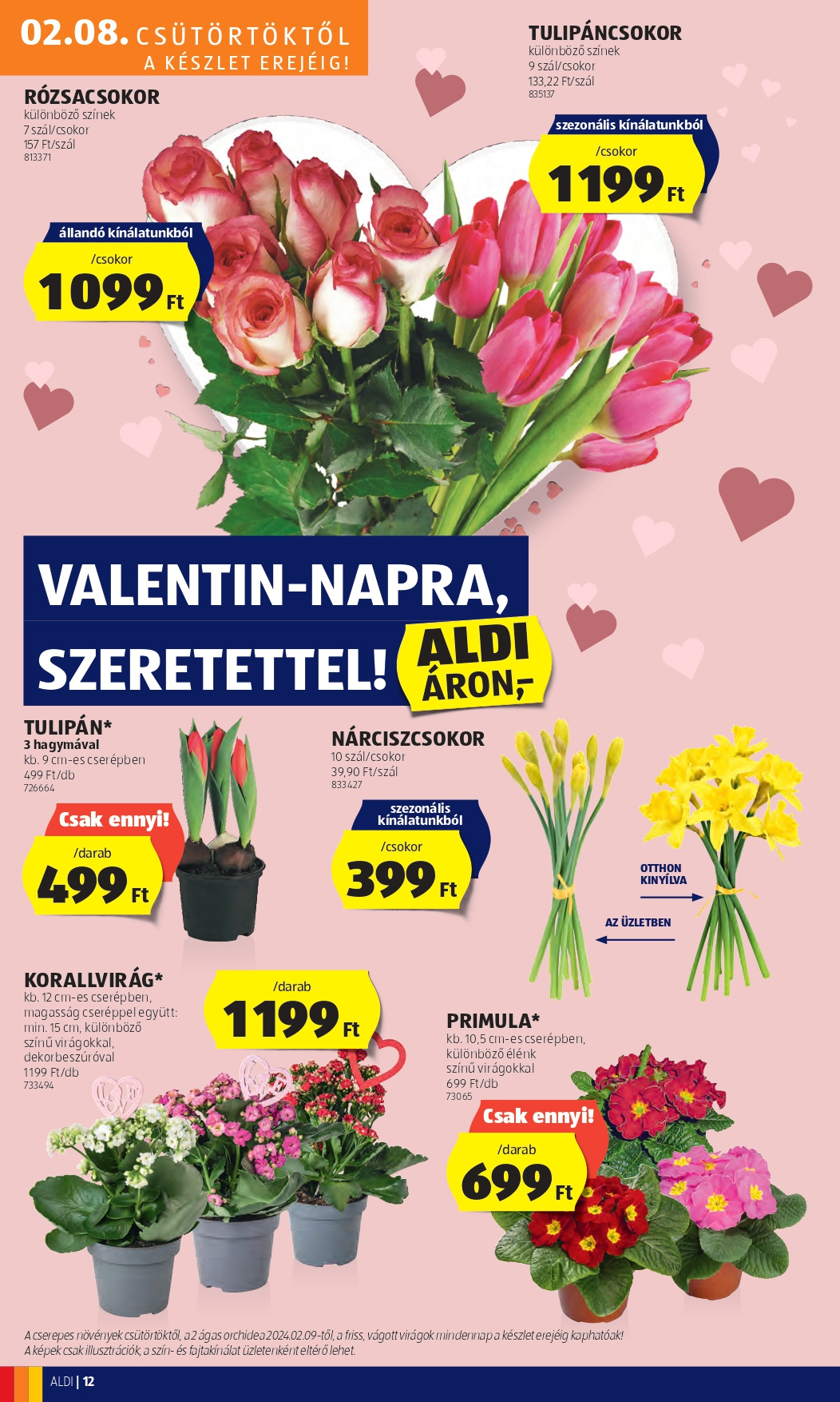 aldifeb8_page-0016