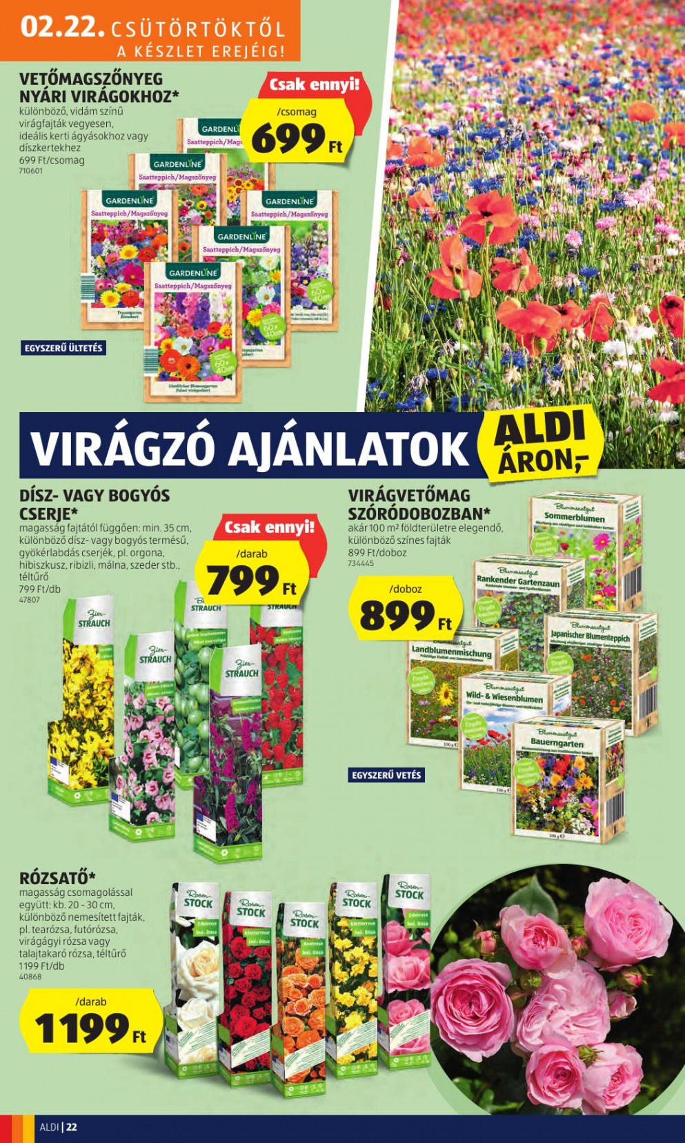 aldi2228-24
