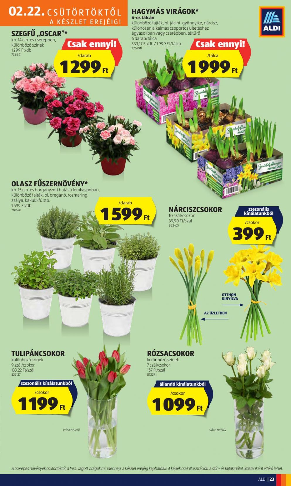 aldi2228-25