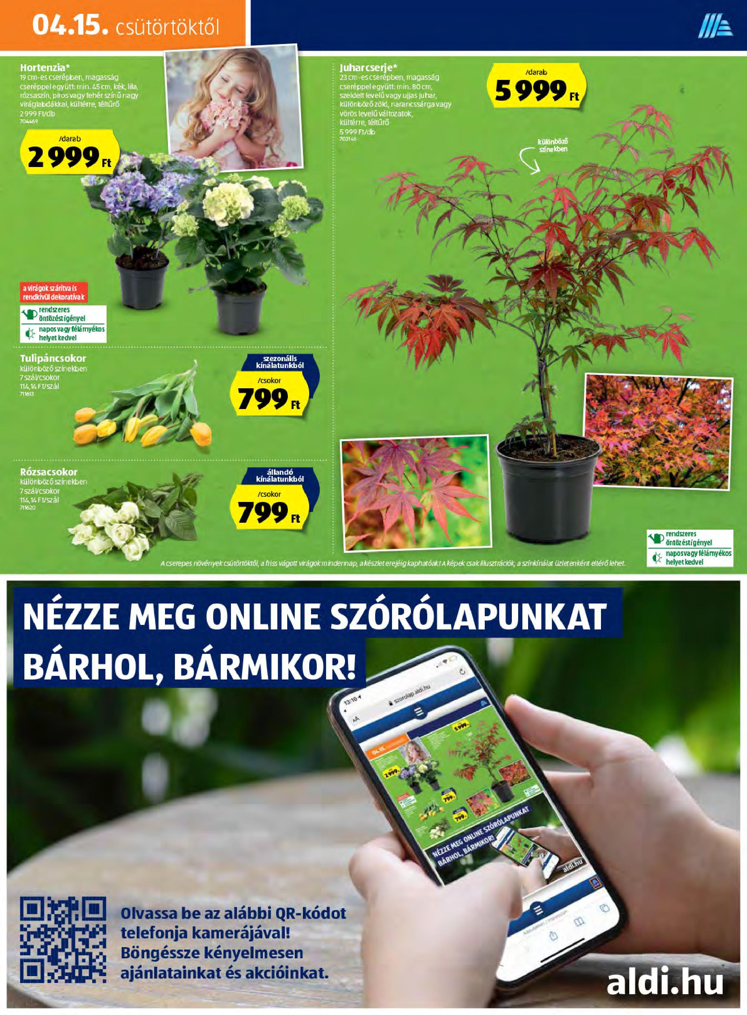 aldi0415-page-013