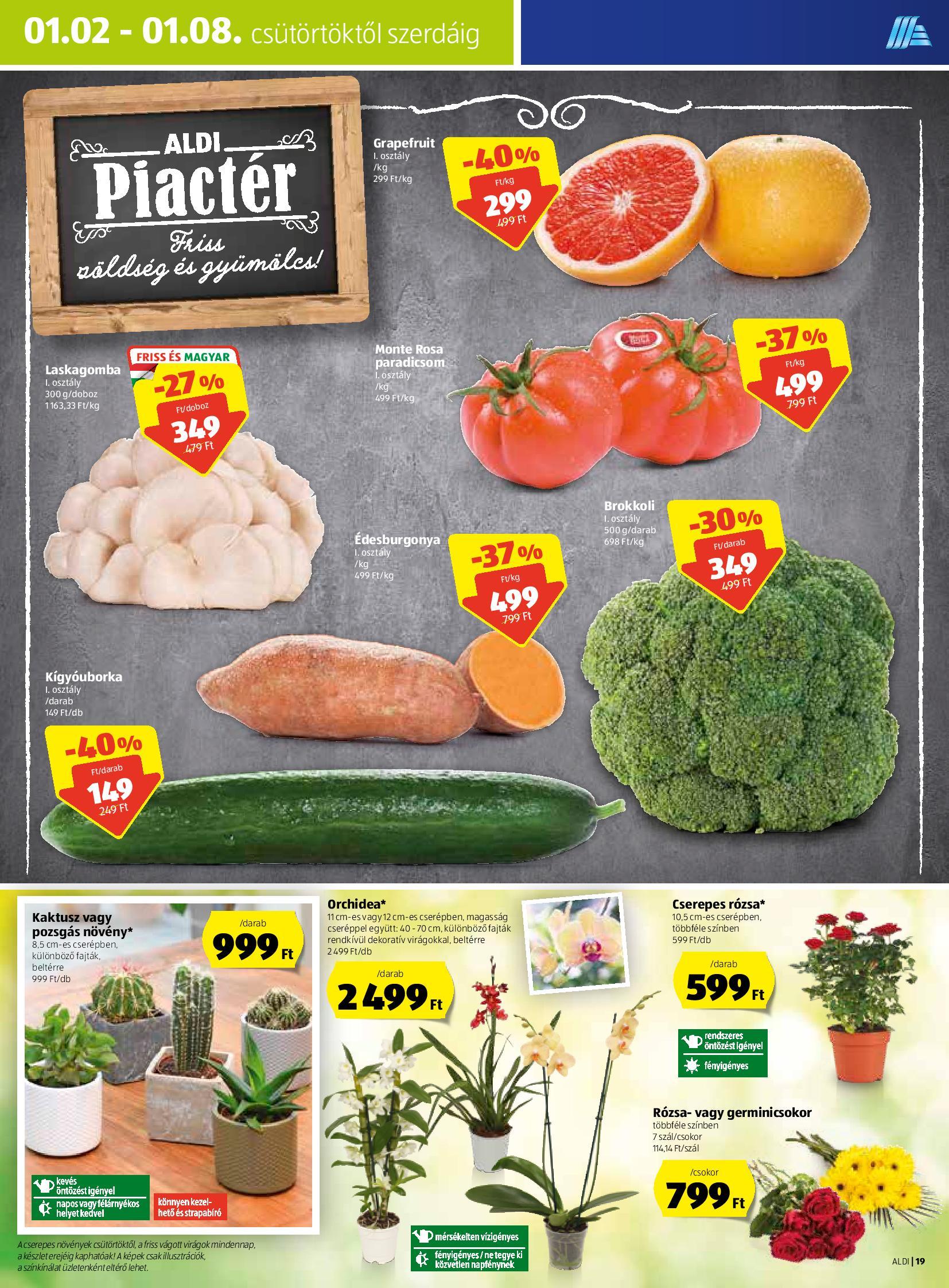 Aldi0102-page-019