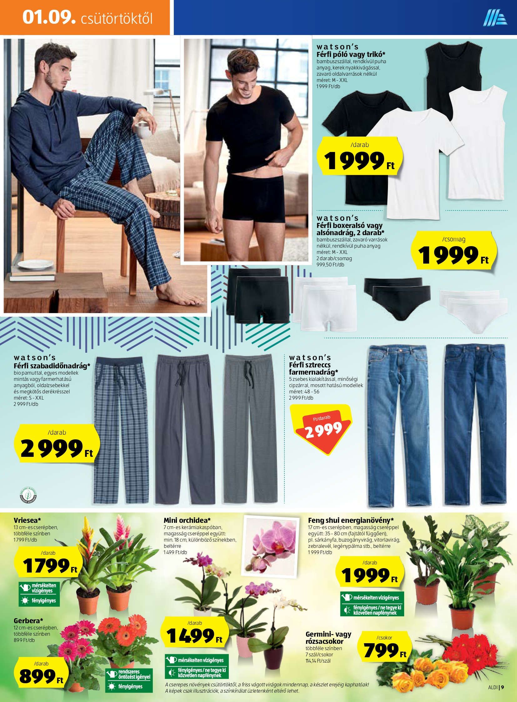 aldi0109_page-0009