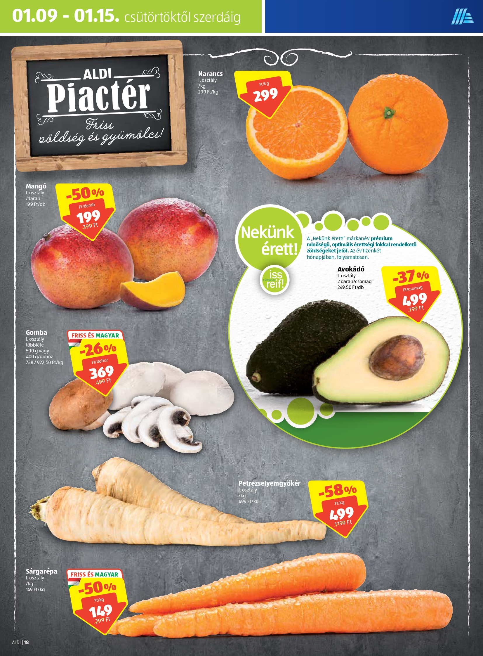 aldi0109_page-0018