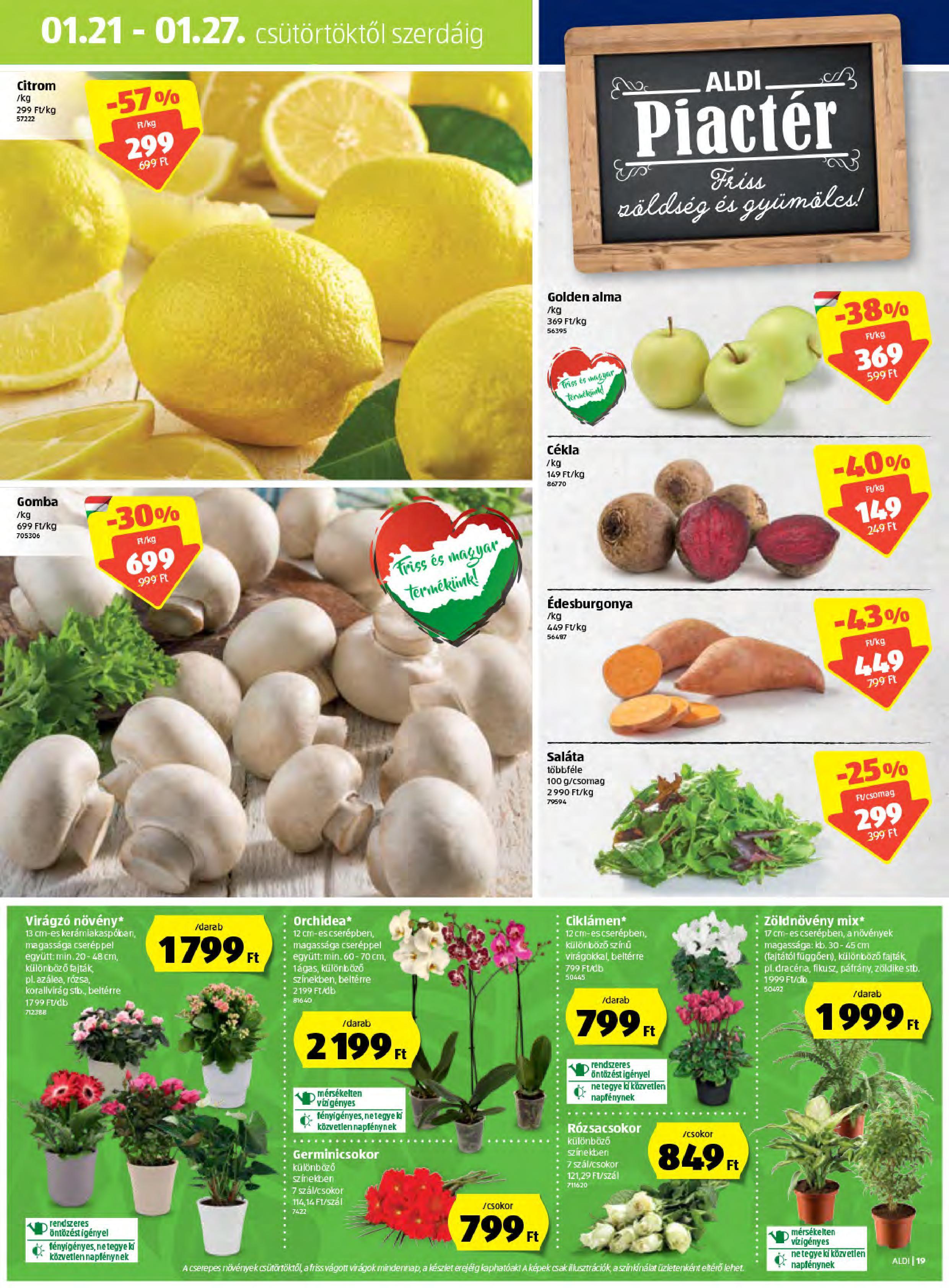 aldi0121-19