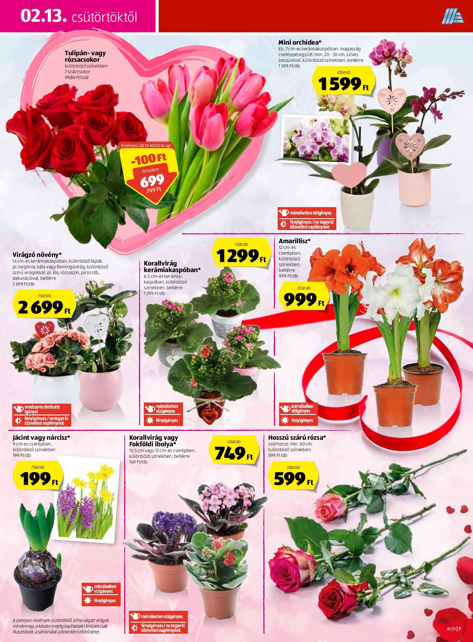 Online_katalogus_2020_02_13aldi-page-007