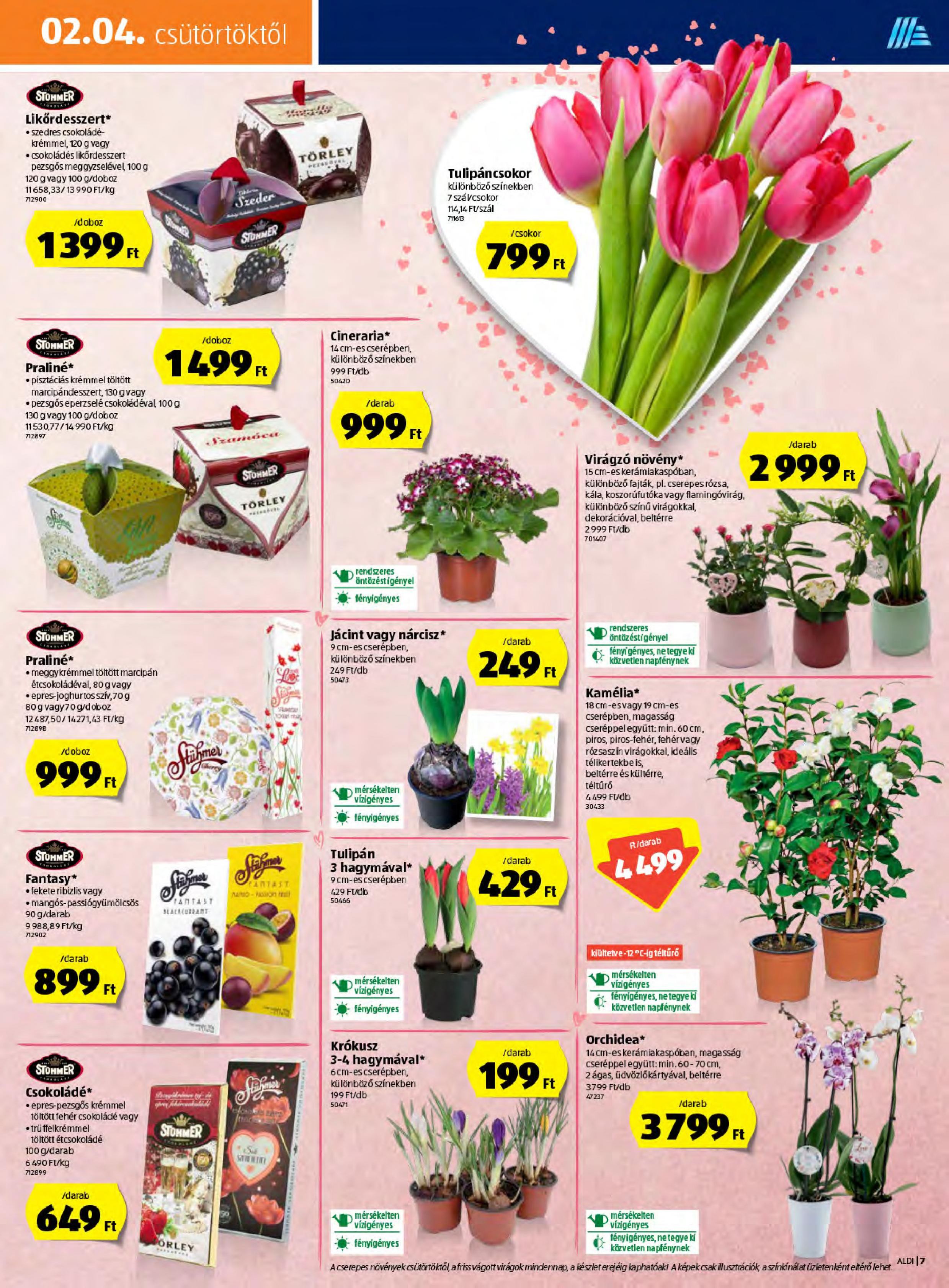 aldi0204-page-007