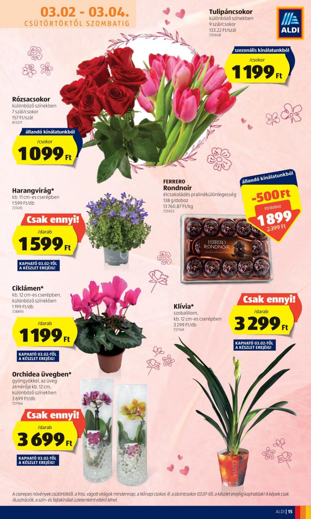 aldi030208-15