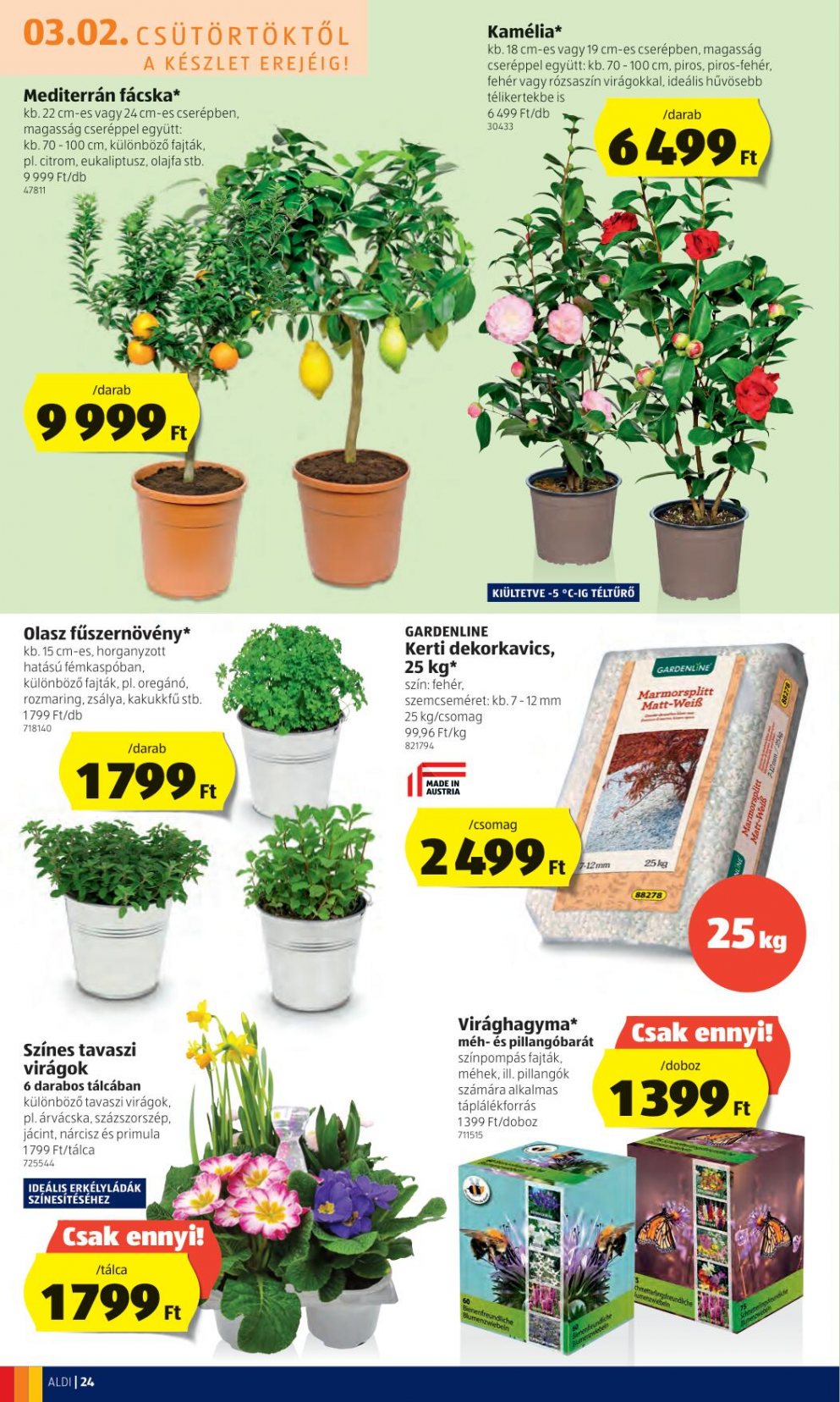 aldi030208-26