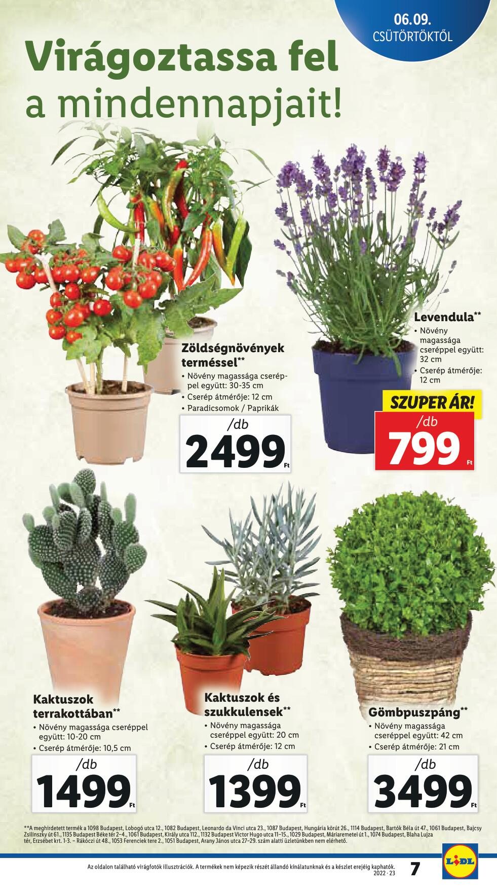 0609-0615-lidl-7