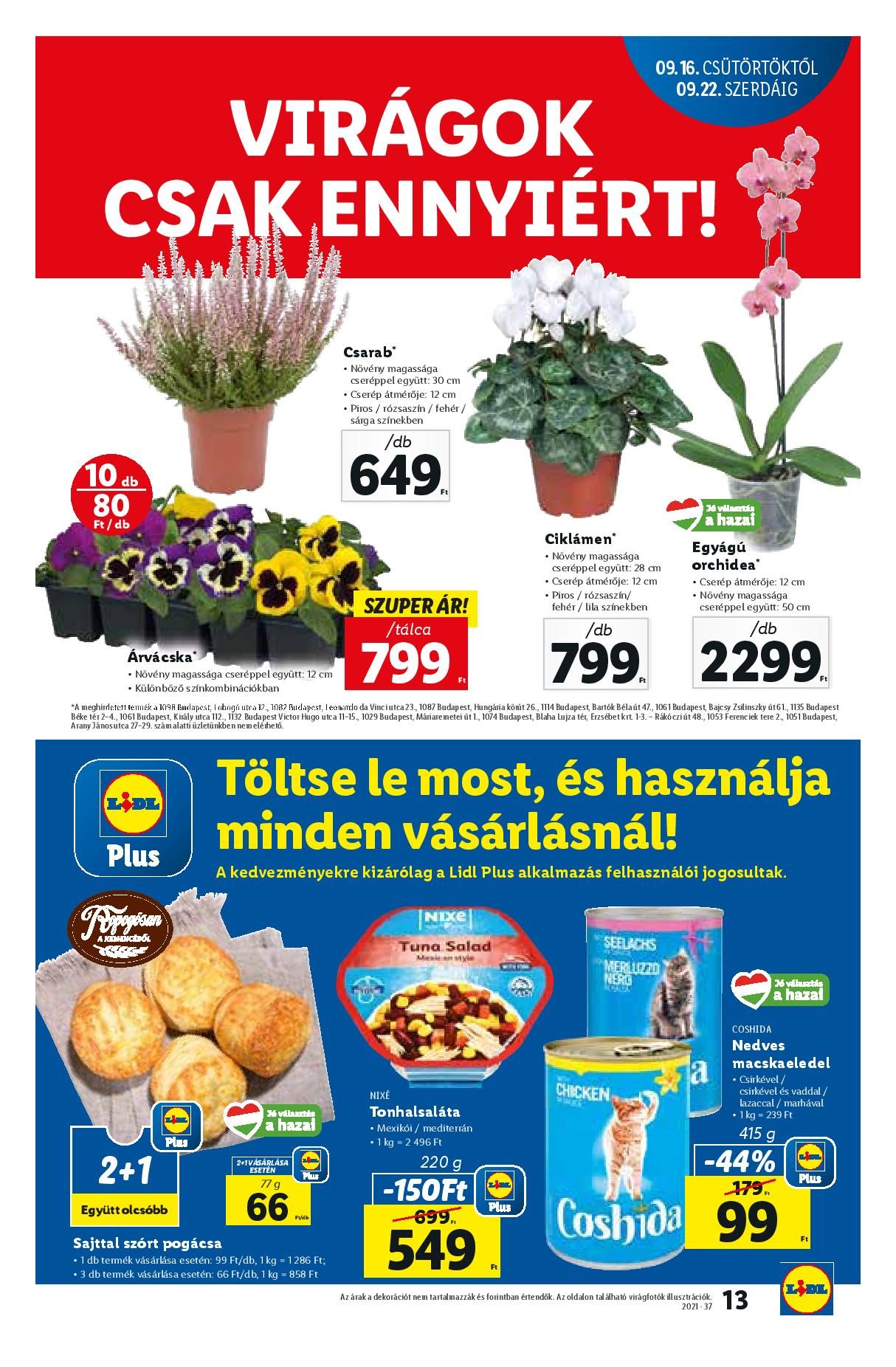 lidl16-22-page-013