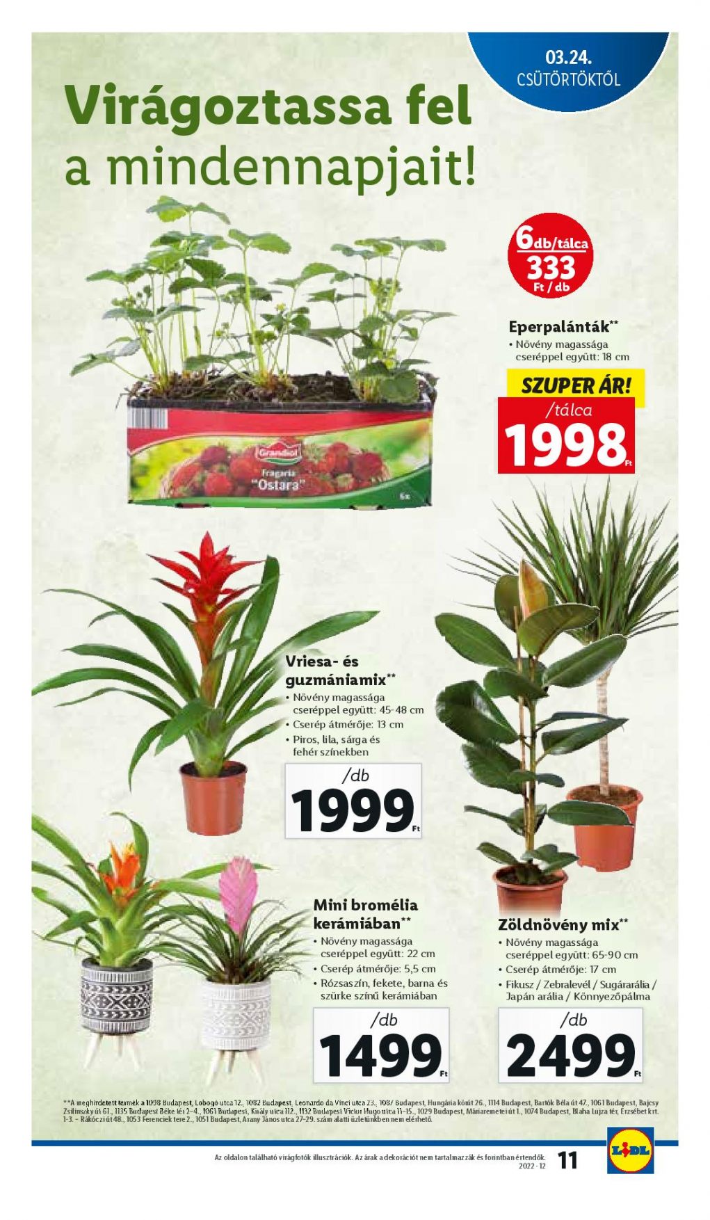 lidl03240330-page-011