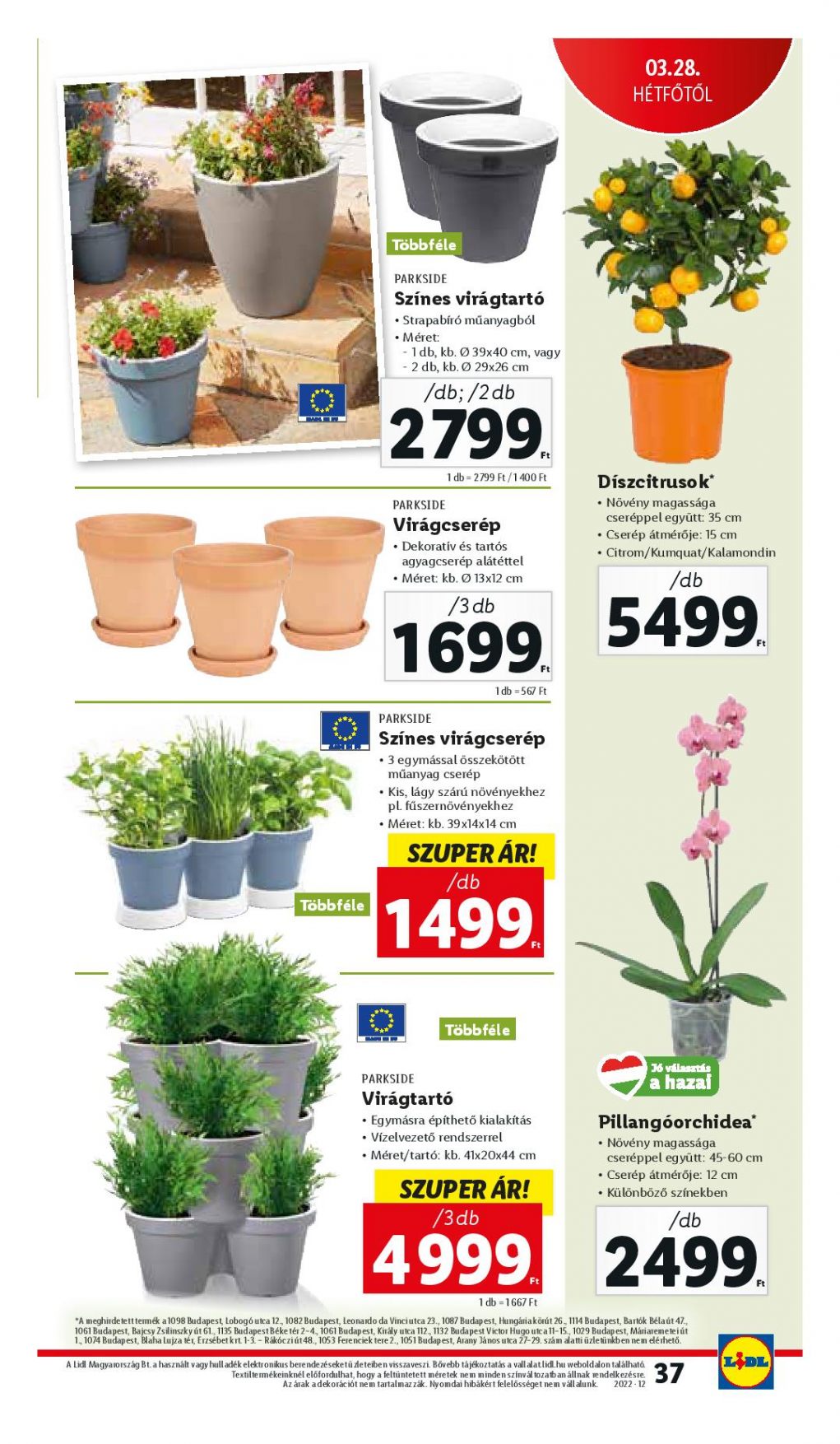 lidl03240330-page-037
