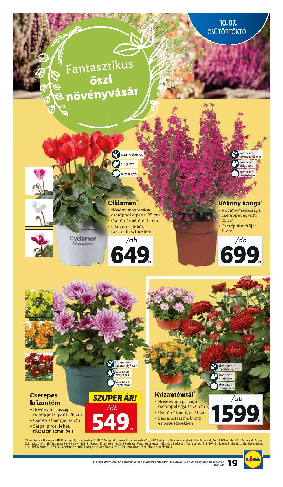 lidl1007-page-019