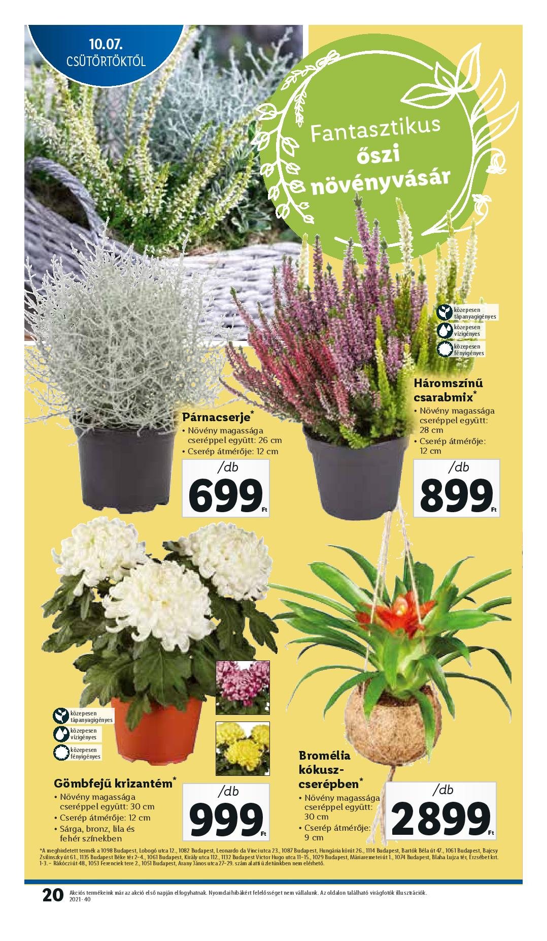 lidl1007-page-020