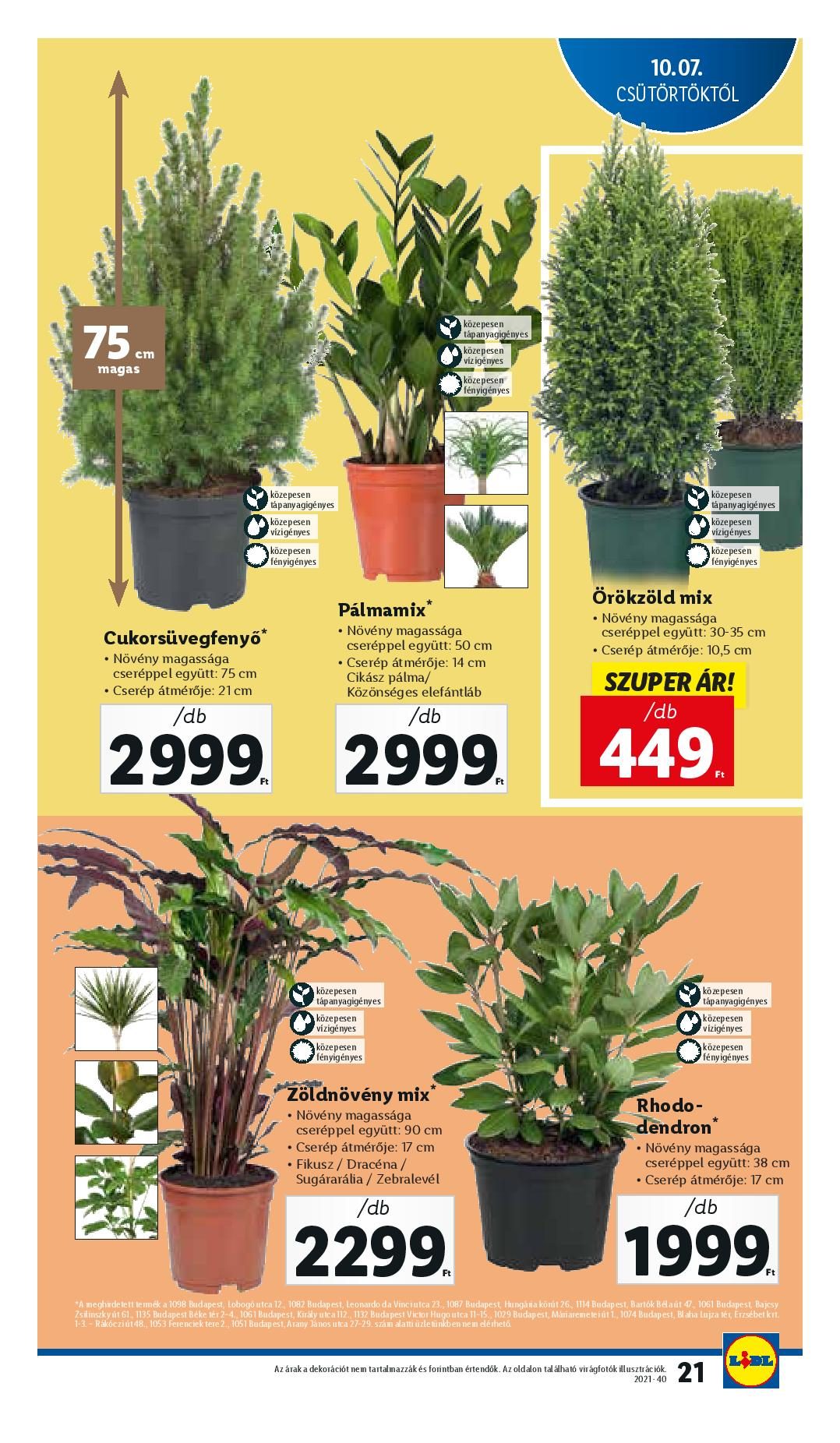 lidl1007-page-021