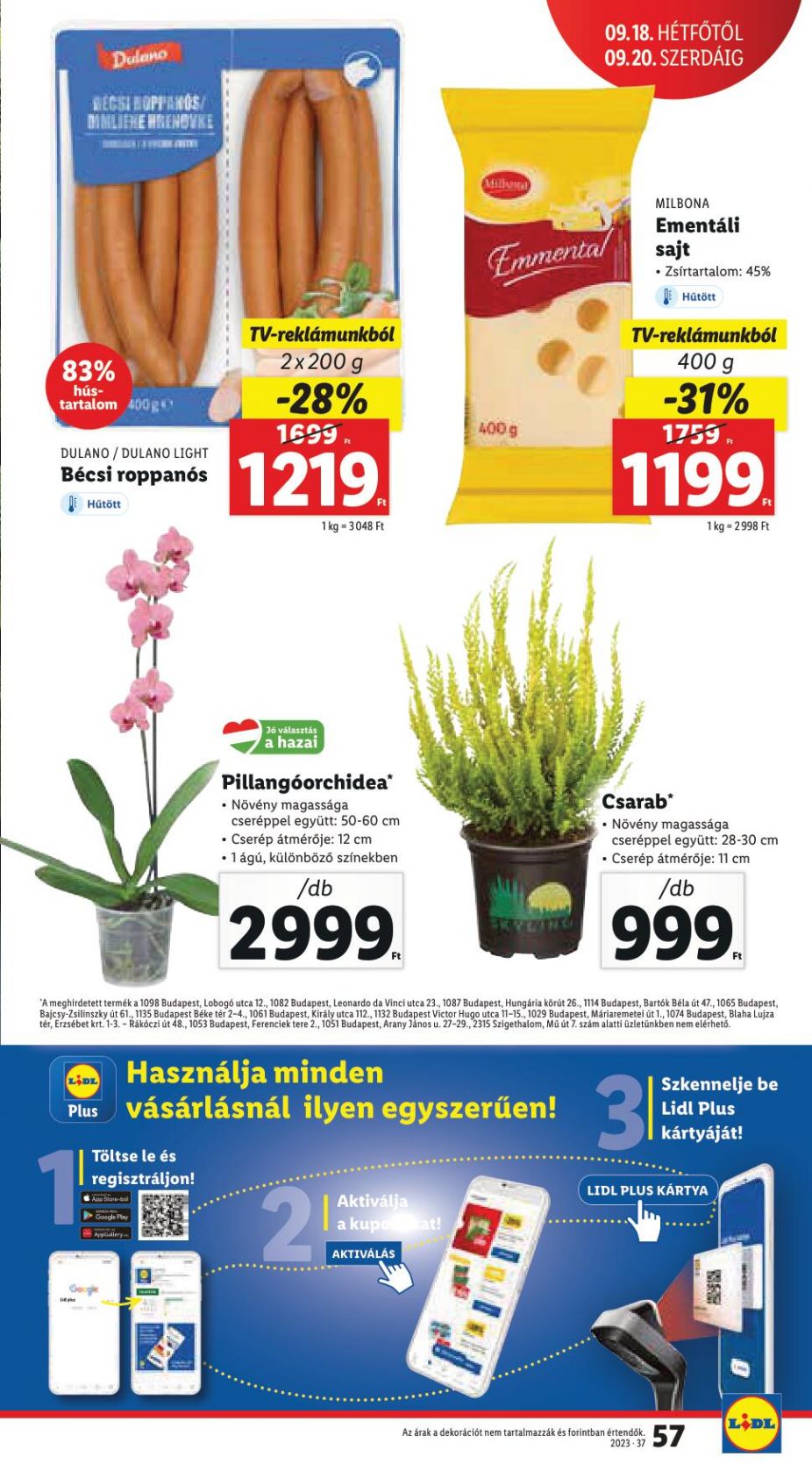 Akcios-ujsag-37-het-Ervenyes-09-14-tol-02-57