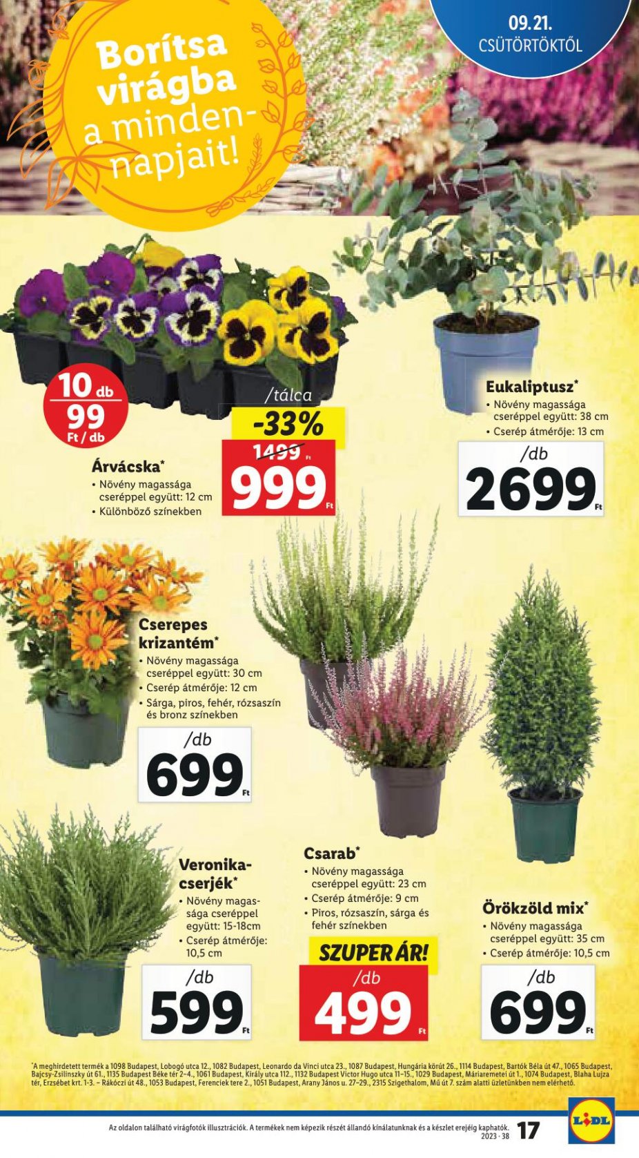 lidl2127-17