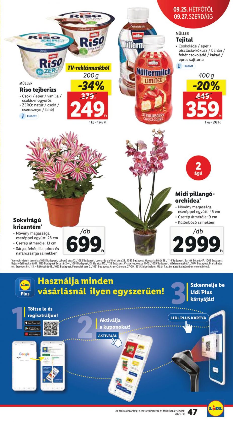 lidl2127-47