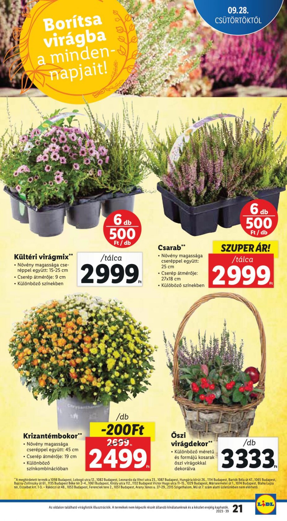 lidl2804-21