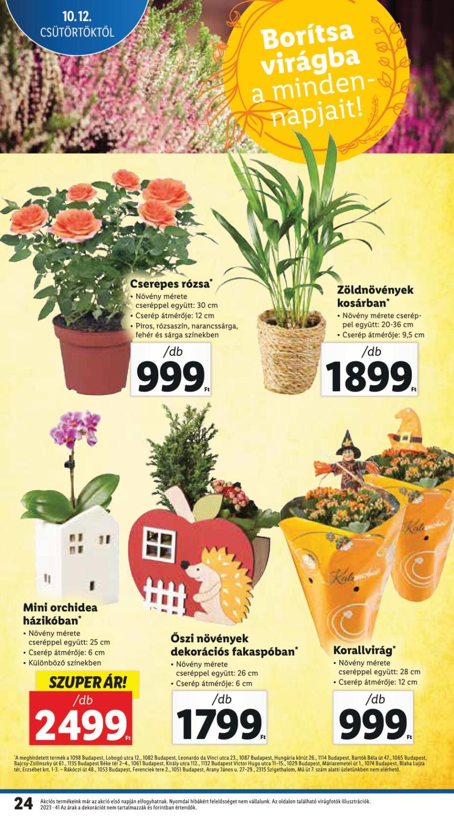 lidl1218-24
