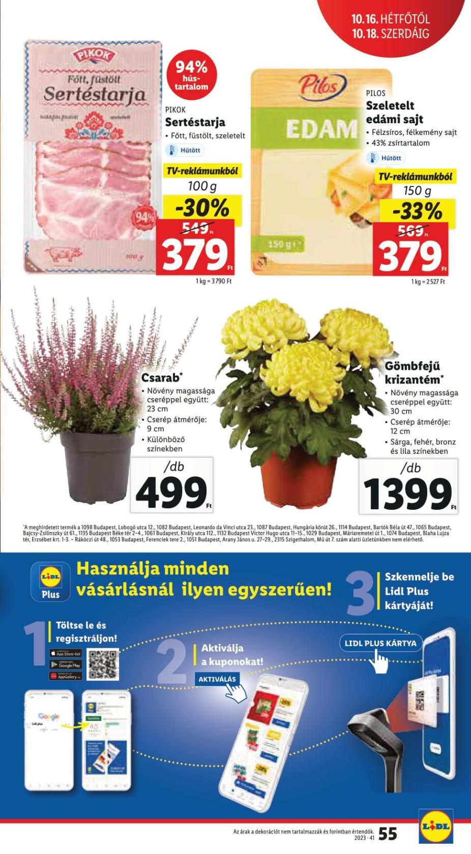 lidl1218-55