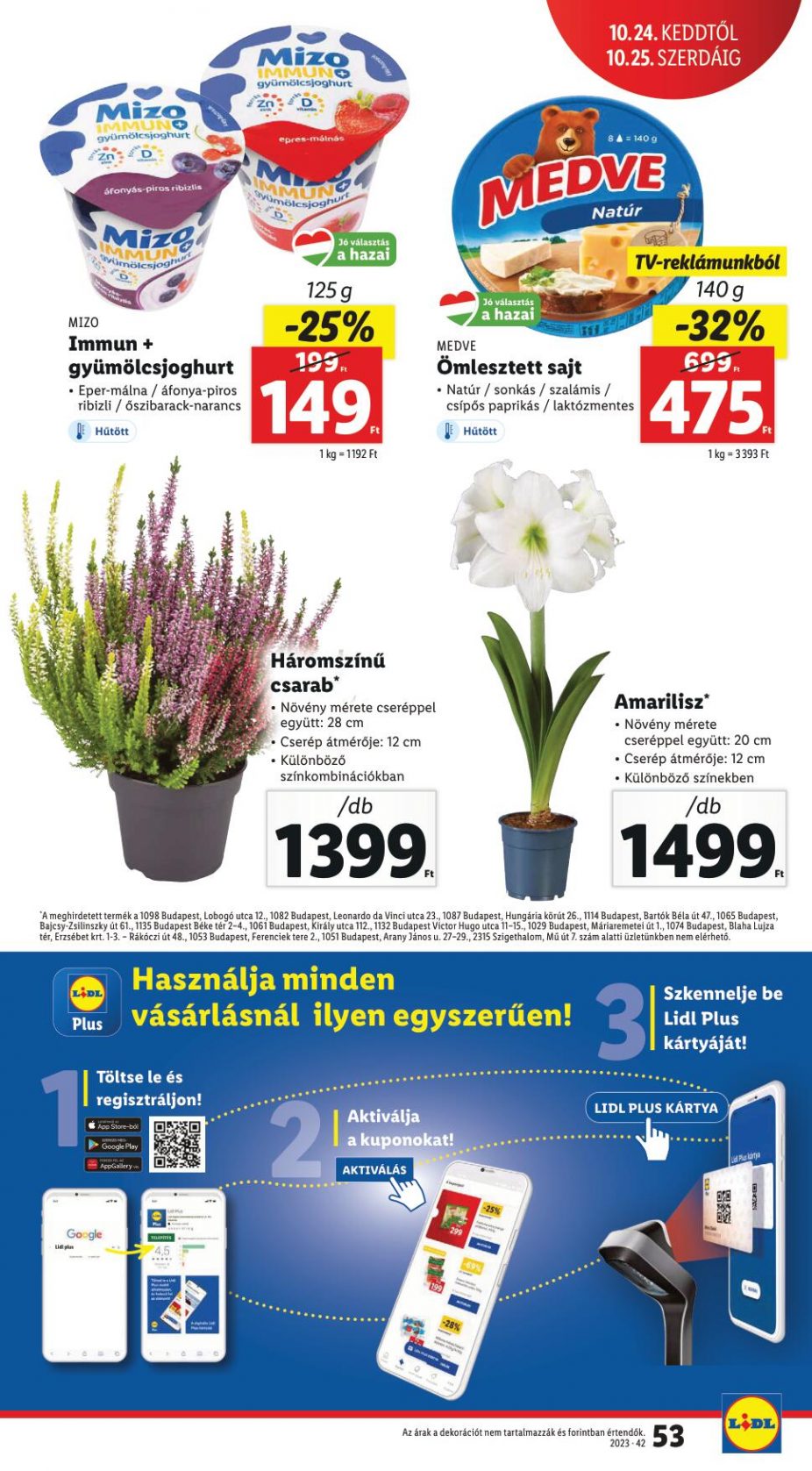 lidl1925-53