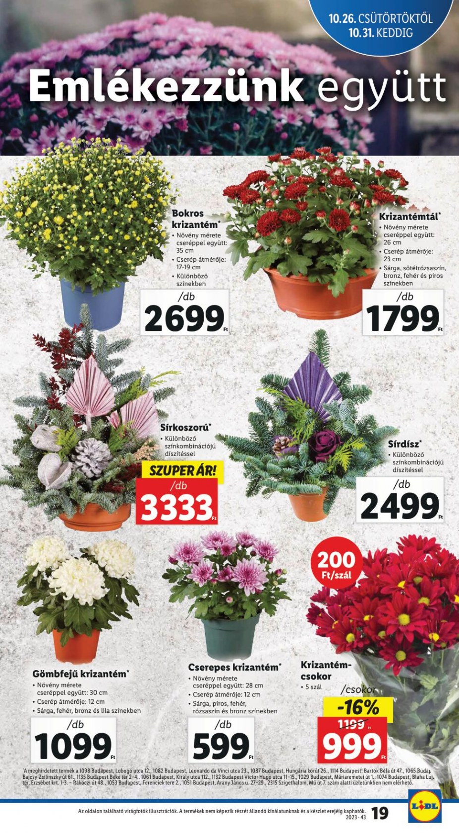 lidl2631-19