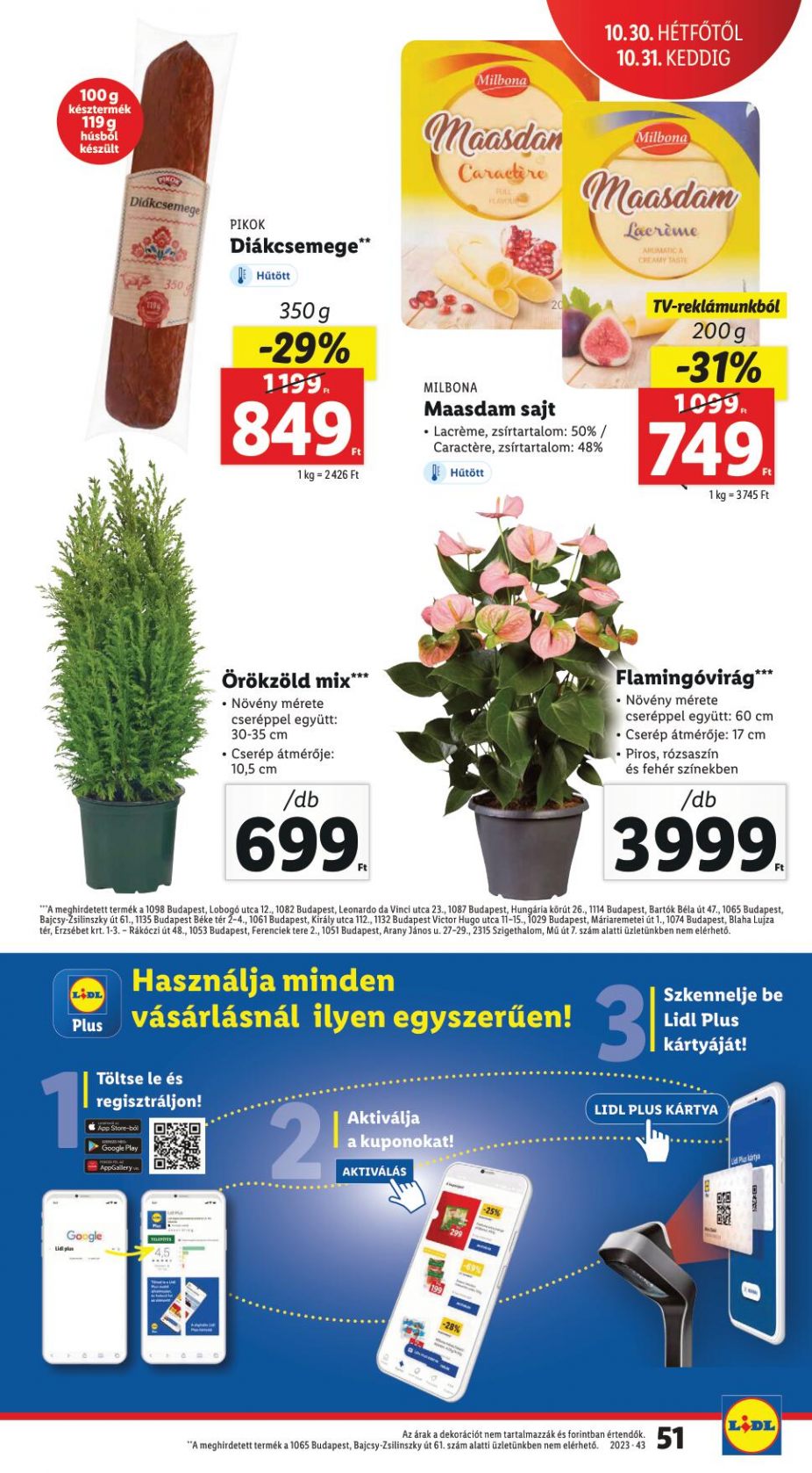 lidl2631-51