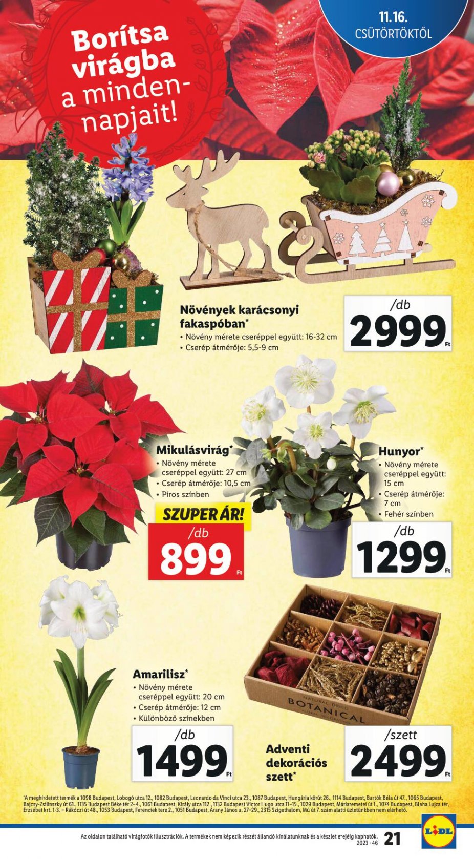 lidl1622-21