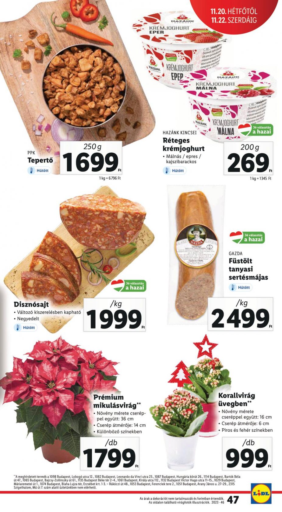 lidl1622-47