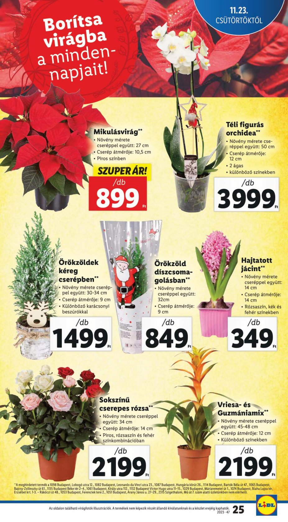 lidl2329-25