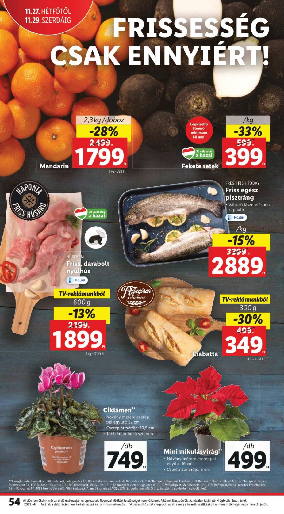lidl2329-54