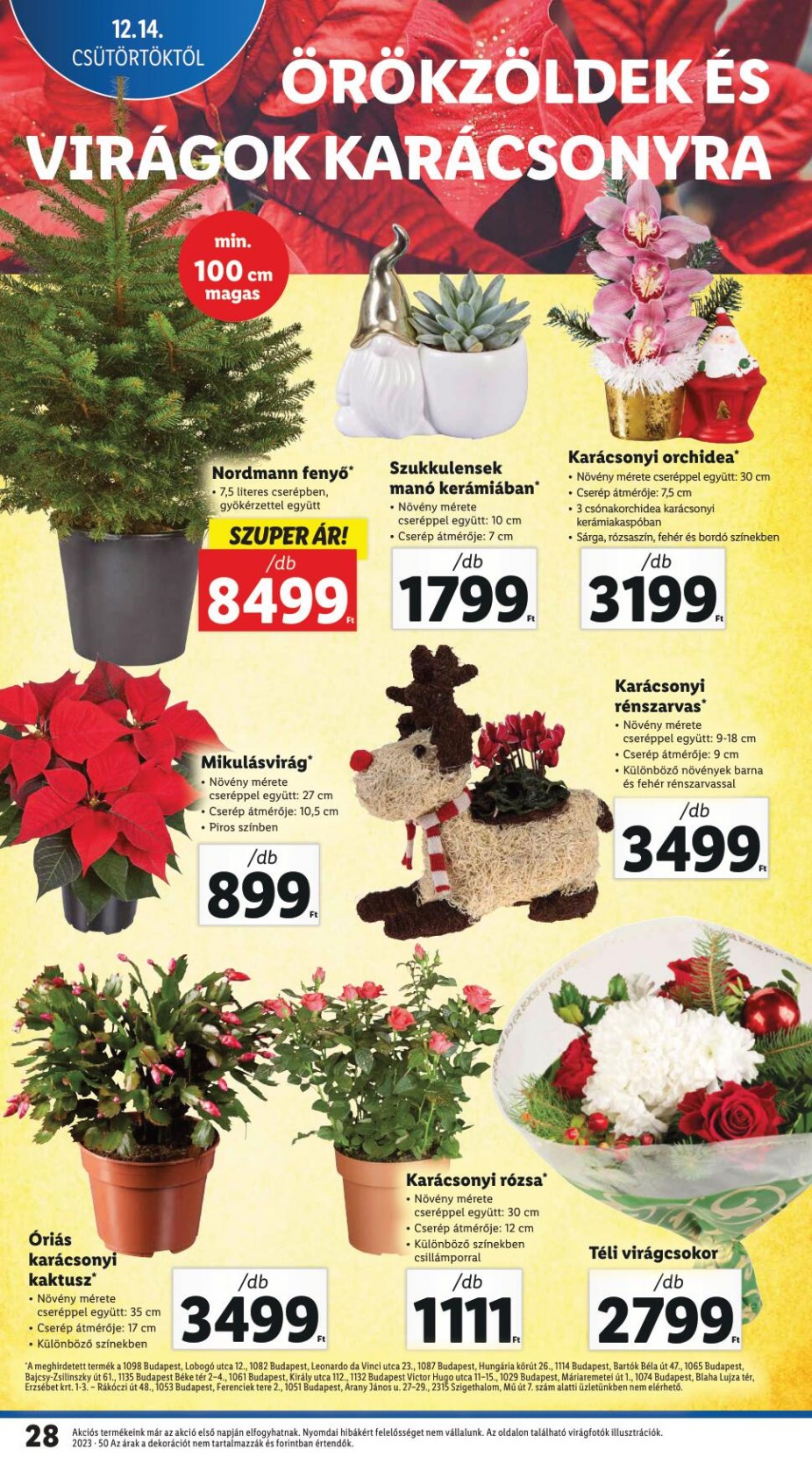 lidl1420-28