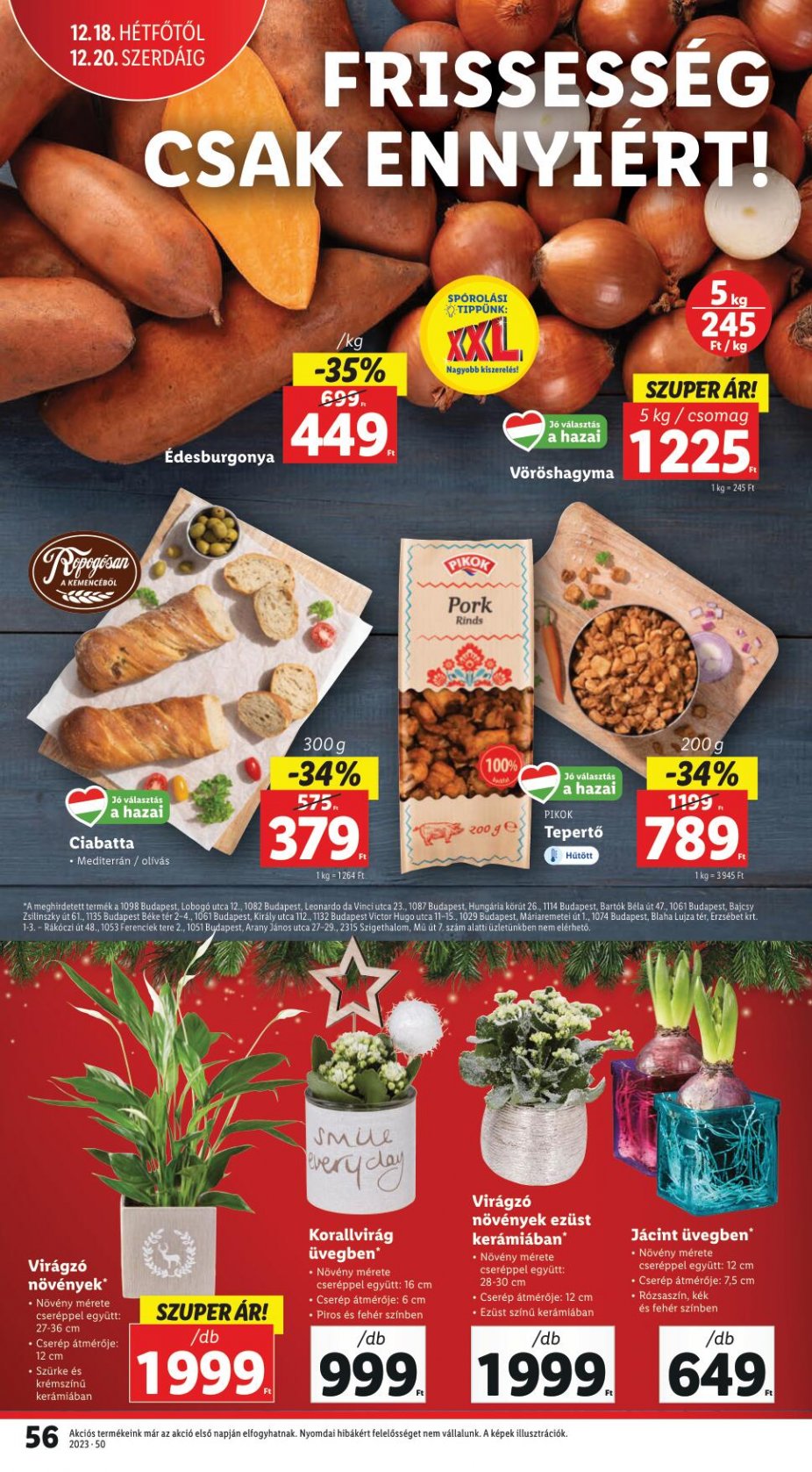 lidl1420-56
