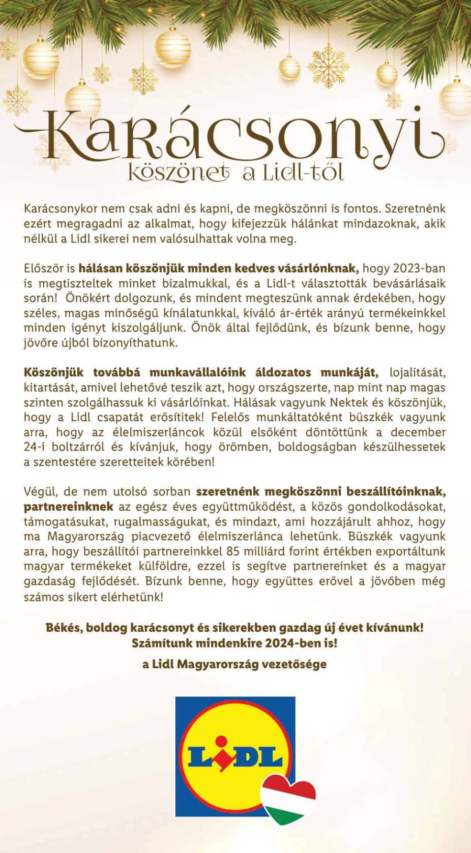 lidl2027-21