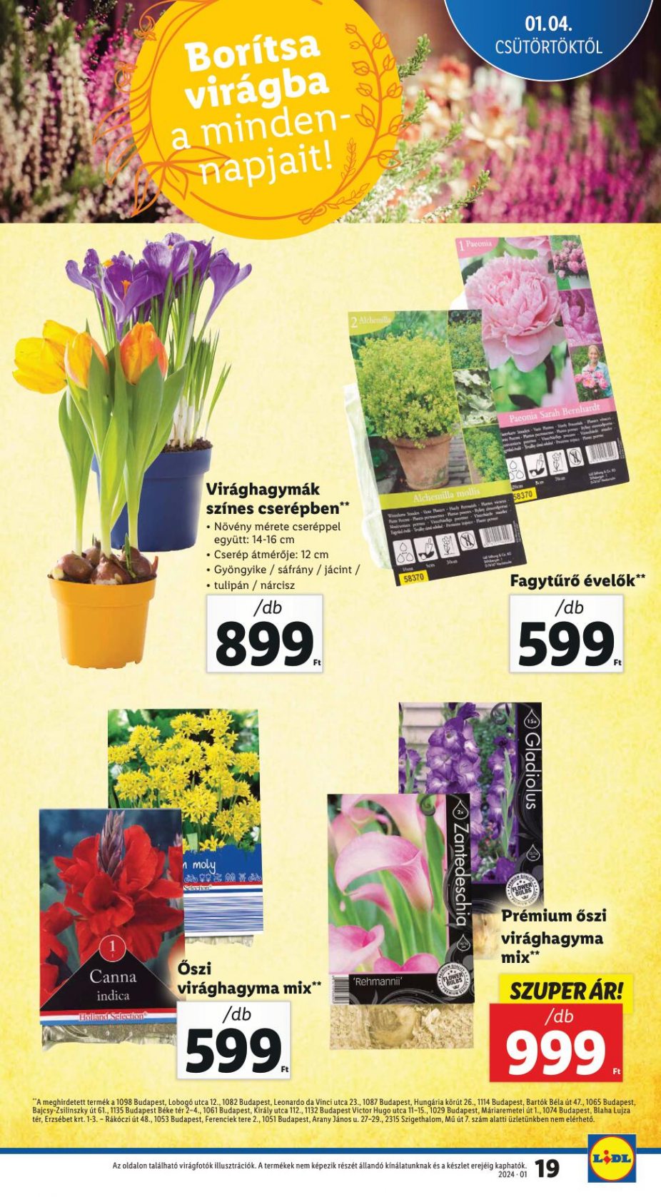 lidl410-19