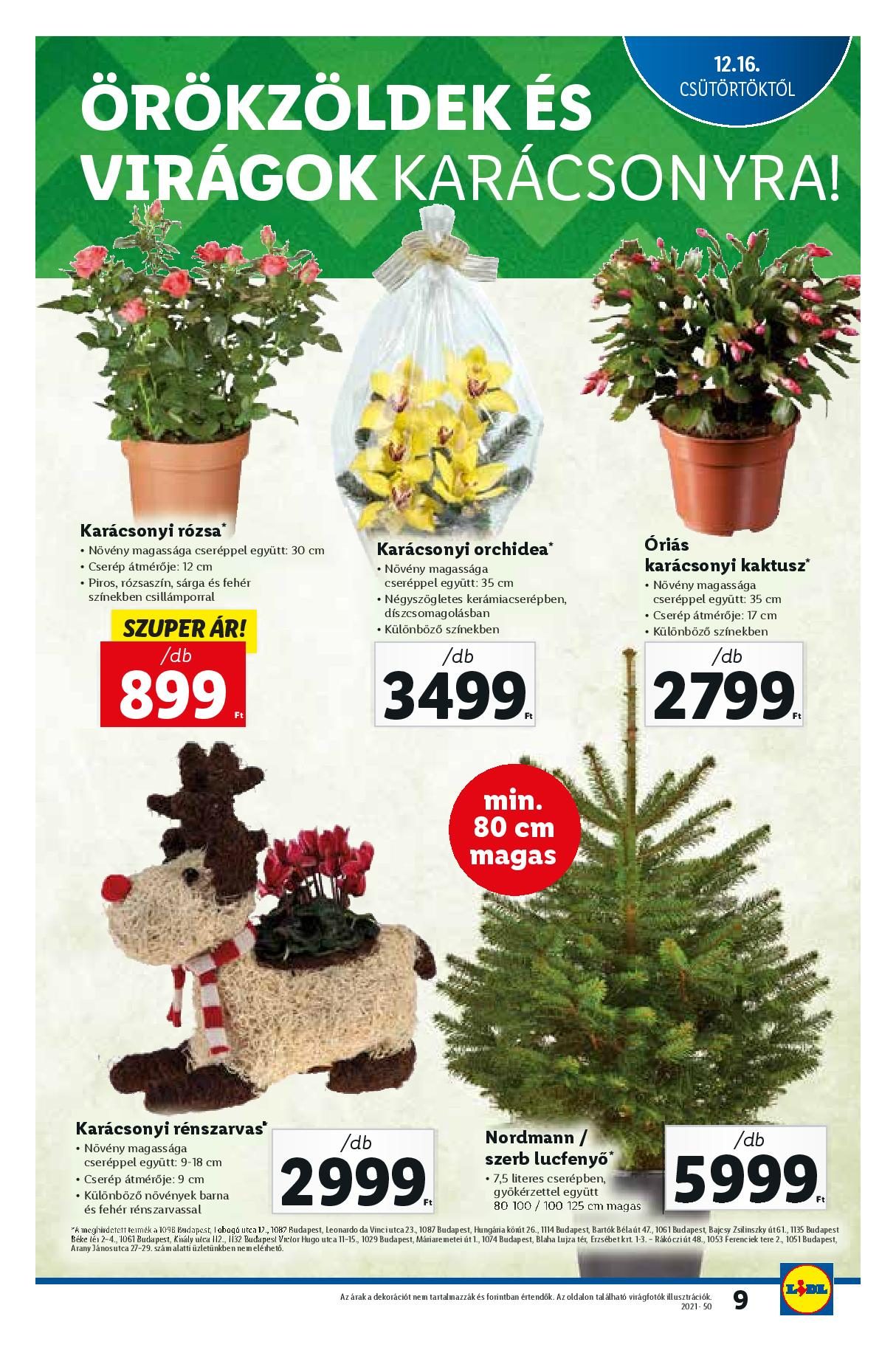 lidl1216-22-page-009